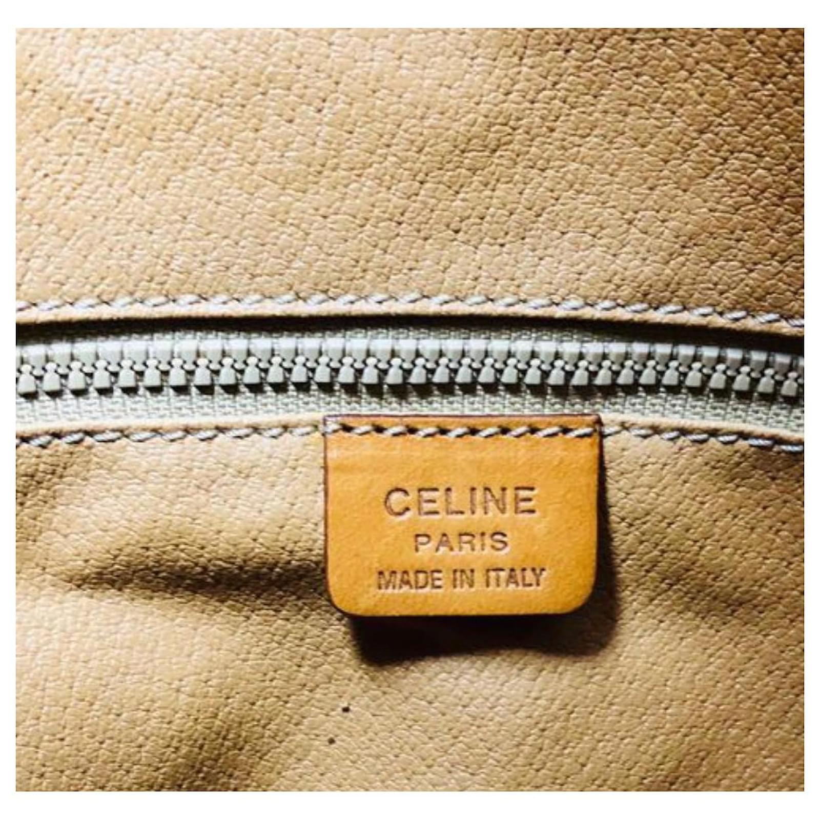 Céline Triomphe bucket bag Brown Cloth ref.669889 - Joli Closet