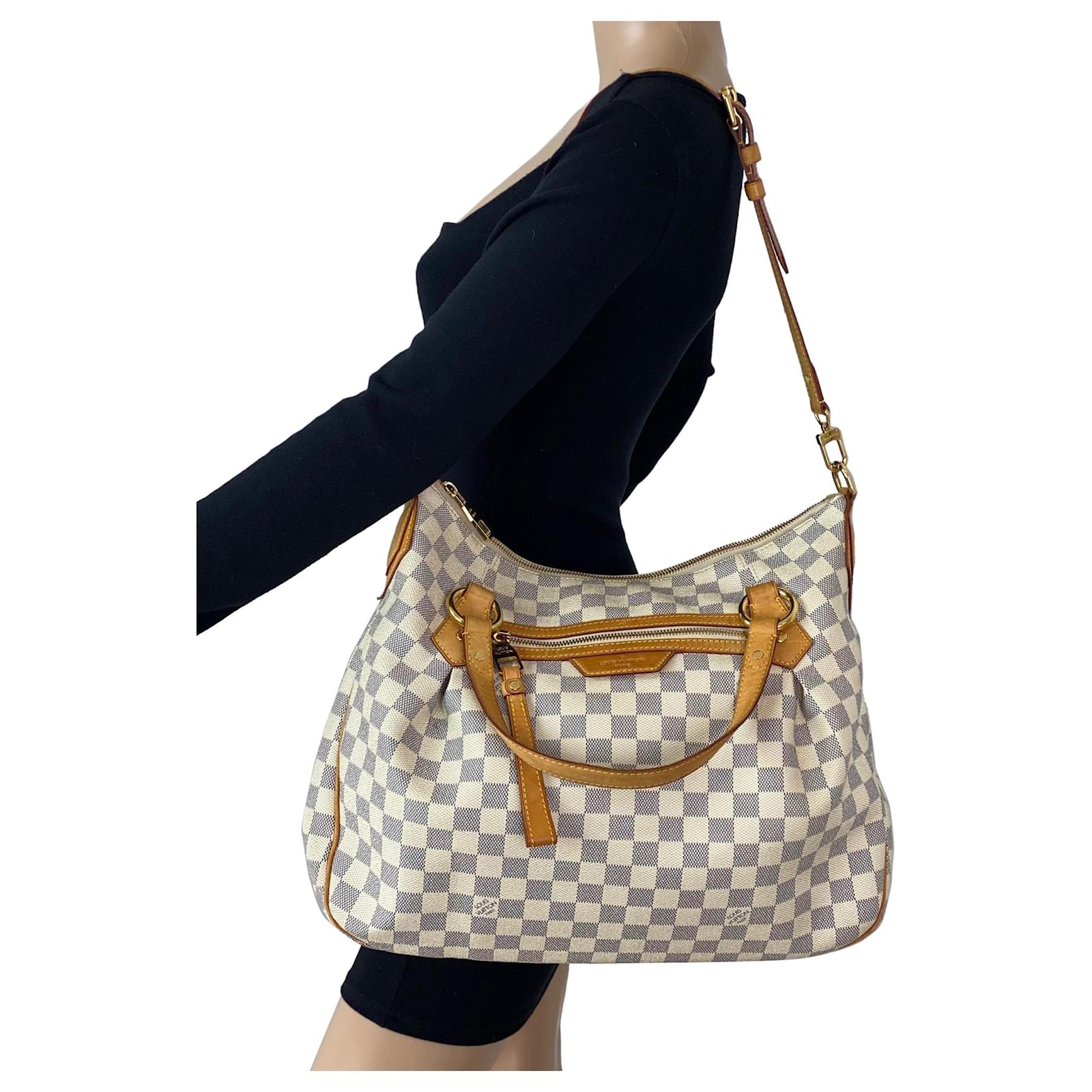 Louis Vuitton Damier Canvas Evora Bag