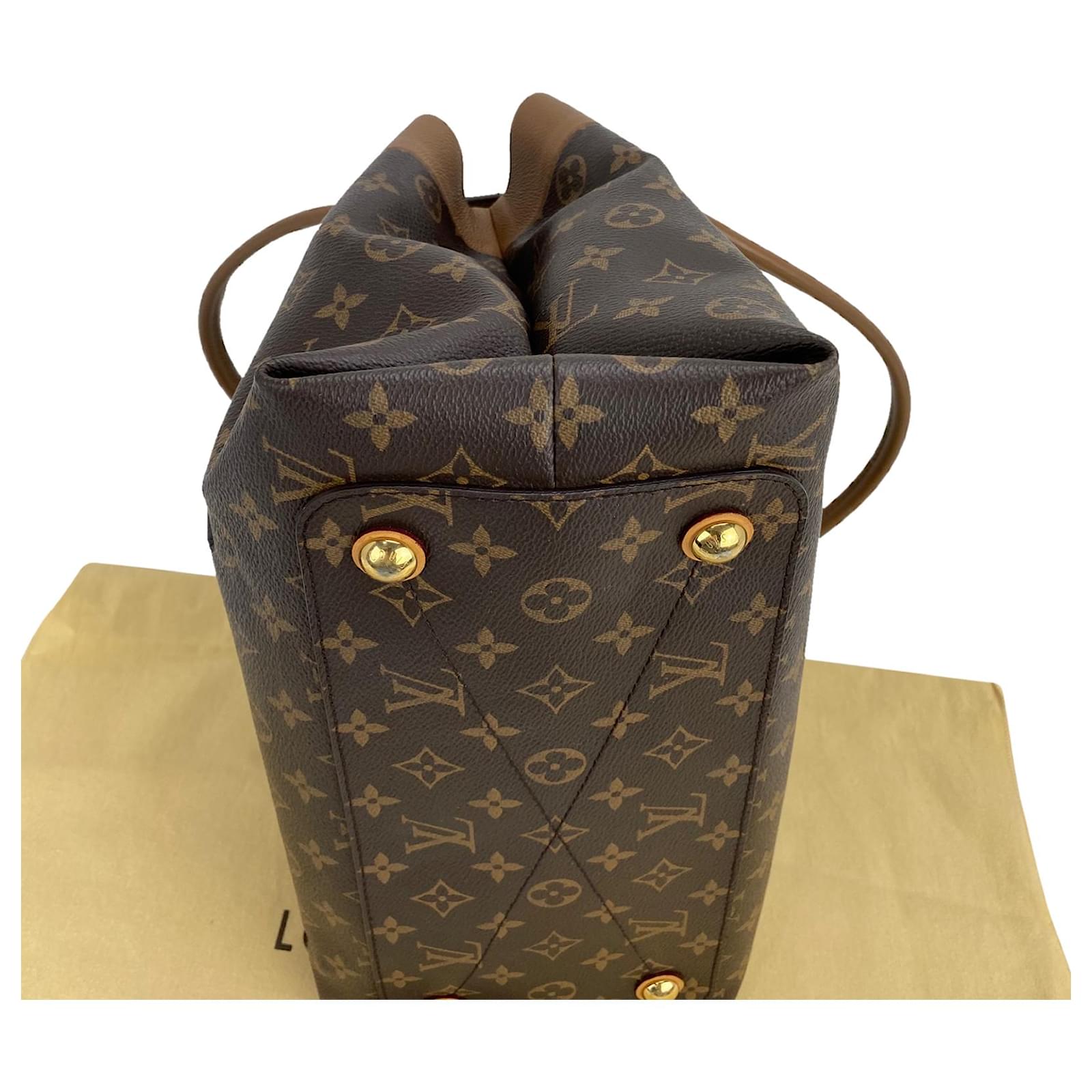 Louis Vuitton Camel Olympe Monogram Canvas Leather Hand Shoulder Bag Brown  Beige ref.674134 - Joli Closet
