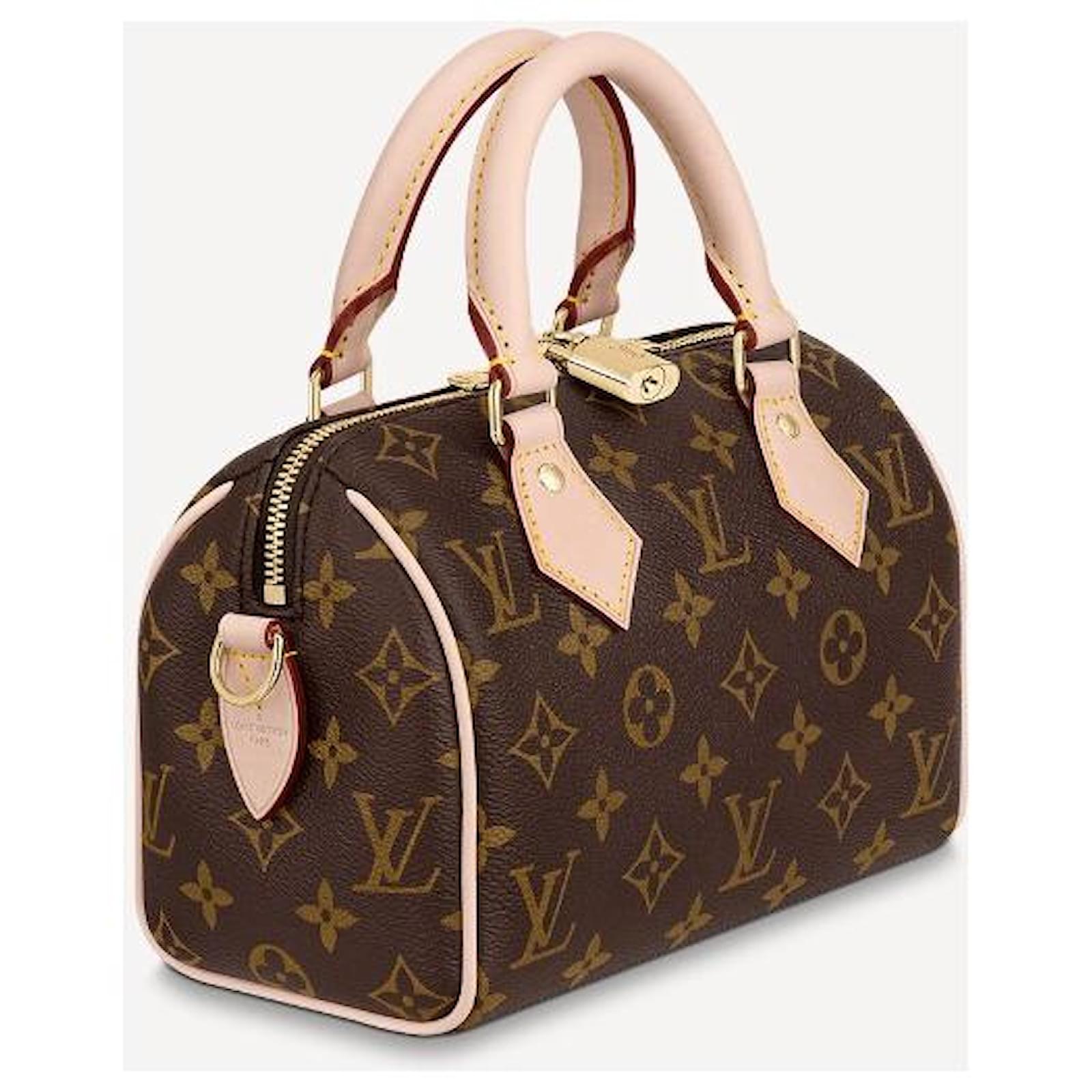 Louis Vuitton LV speedy 20 Monogram canvas Brown Leather ref