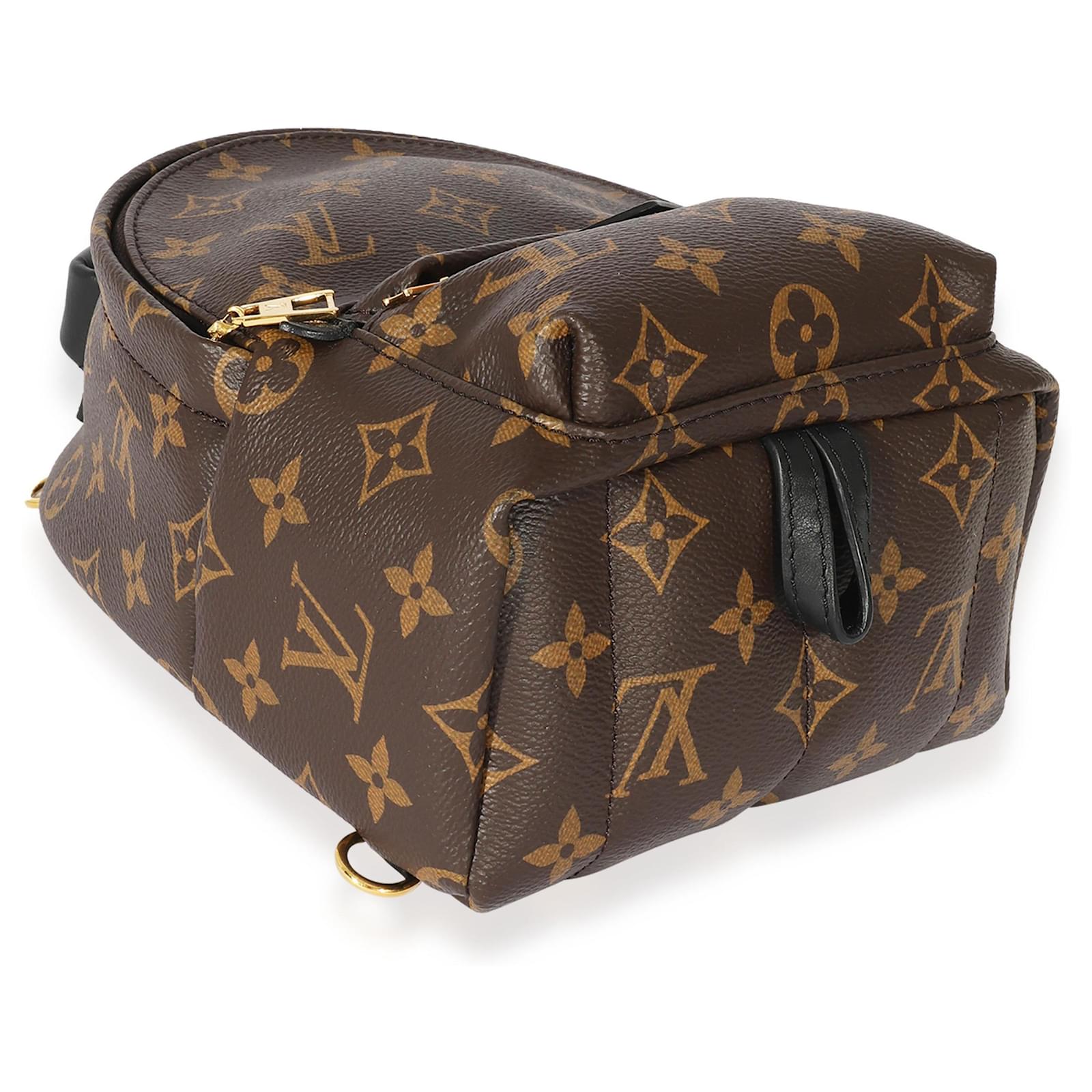 Louis Vuitton Monogram Mini Palm Spring Backpack Brown ref.683348 - Joli  Closet