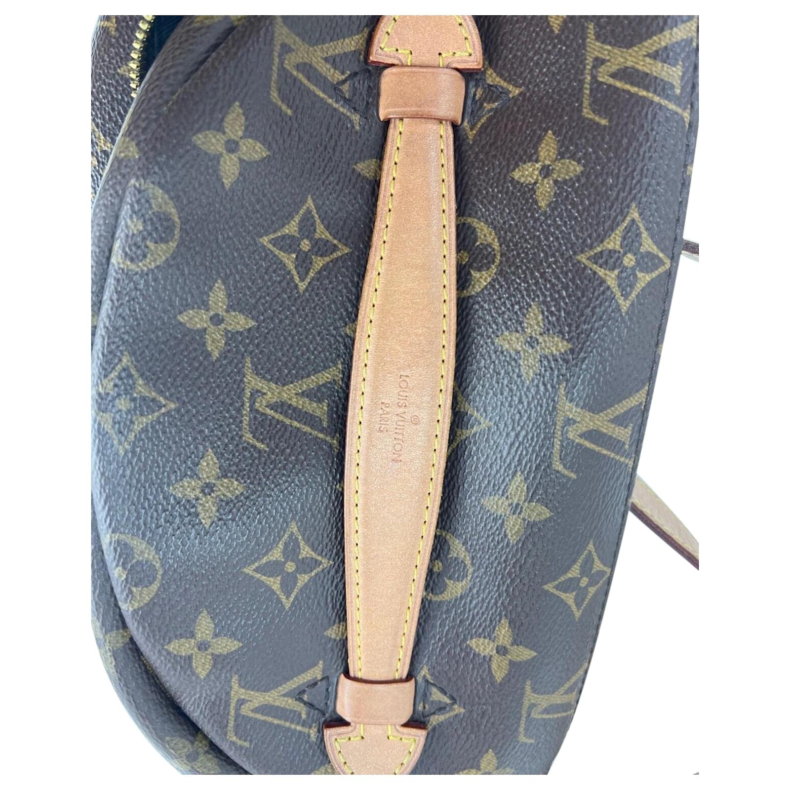 Louis Vuitton Monogram Bumbag Fanny Pack Belt Bag Crossbody Leather  ref.683351 - Joli Closet