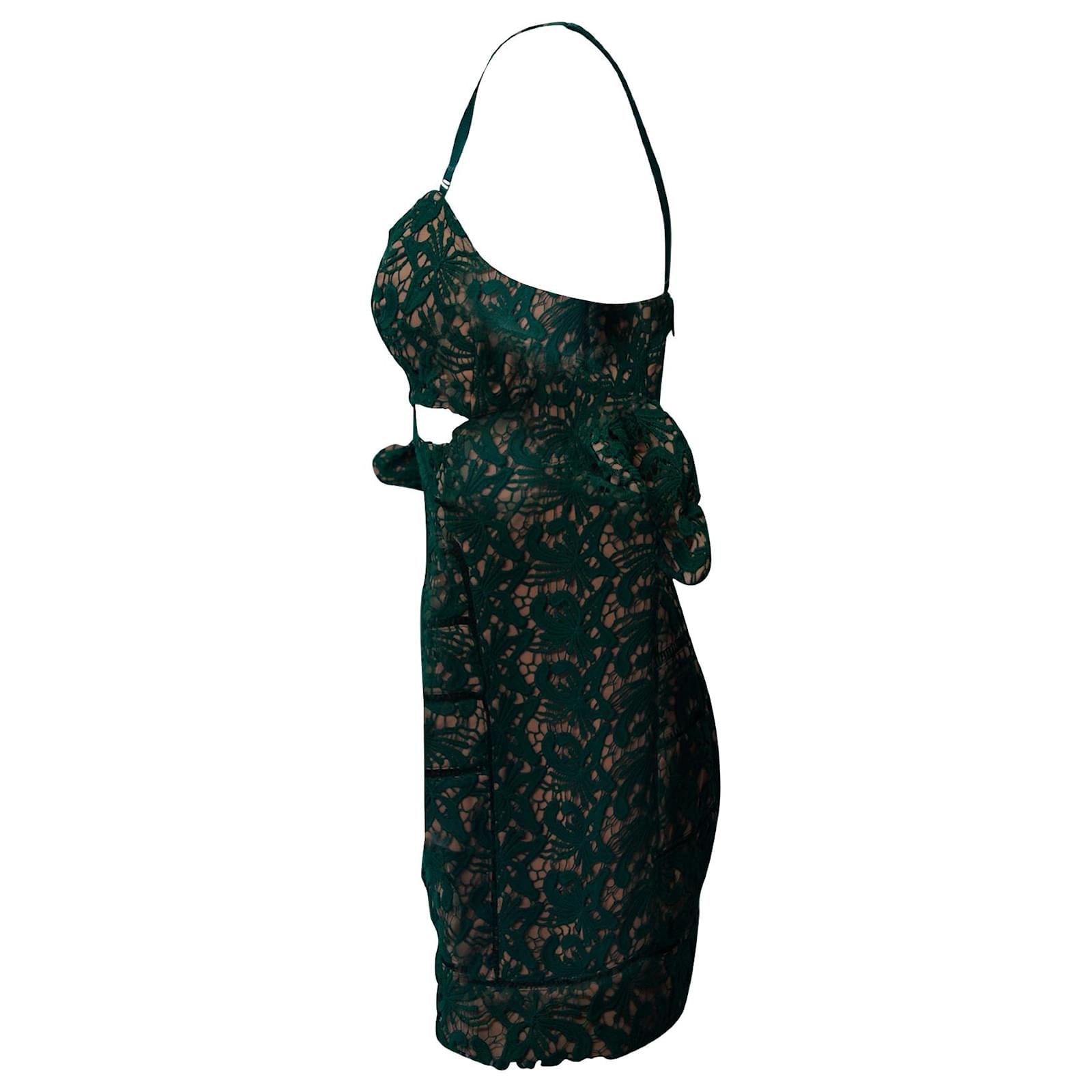 green emerald velvet dress Blue Georgette Flower Maxi Dress  self-portrait-US