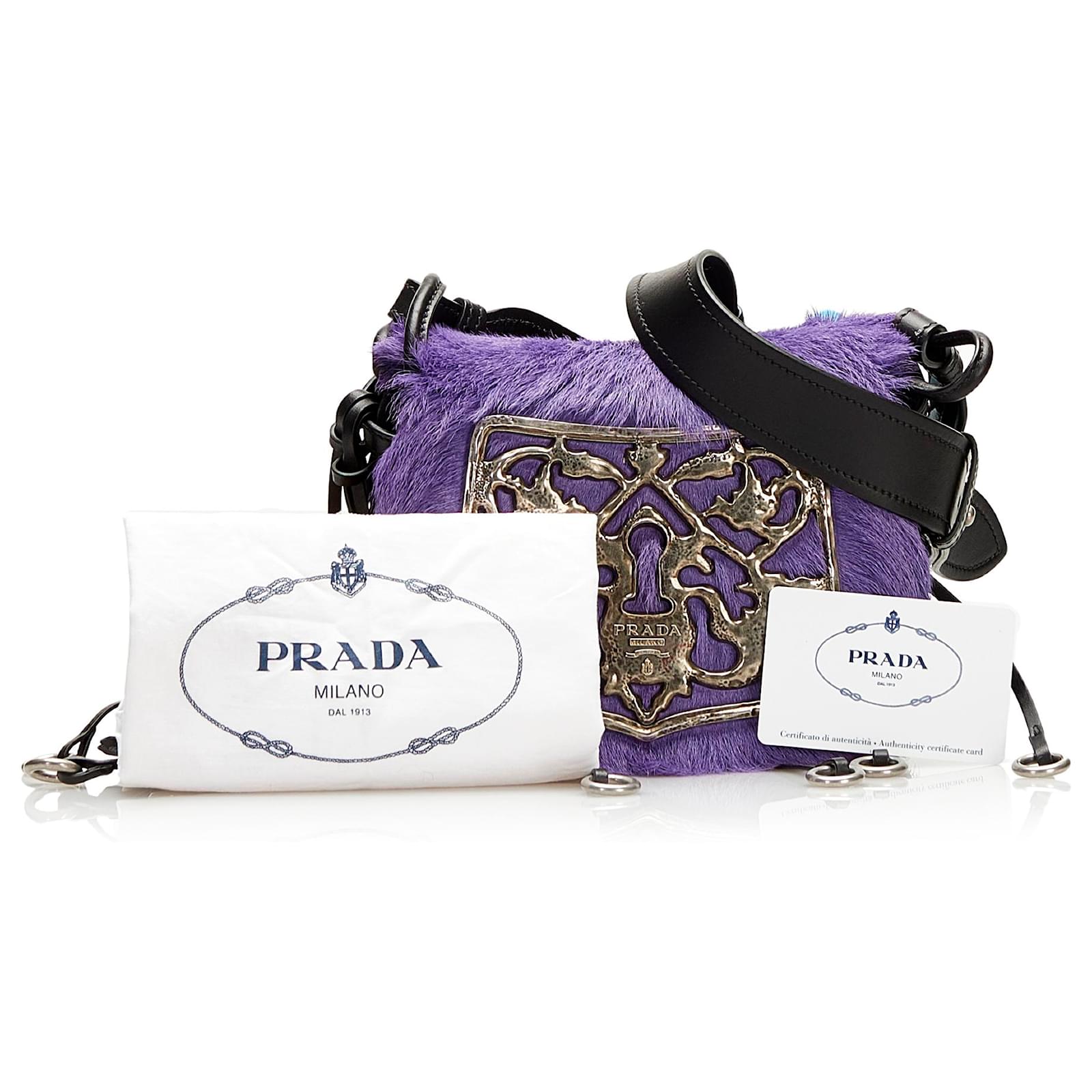 Prada Purple Calf Hair and Velluto Corsaire Crossbody Bag Velvet ref.696214  - Joli Closet