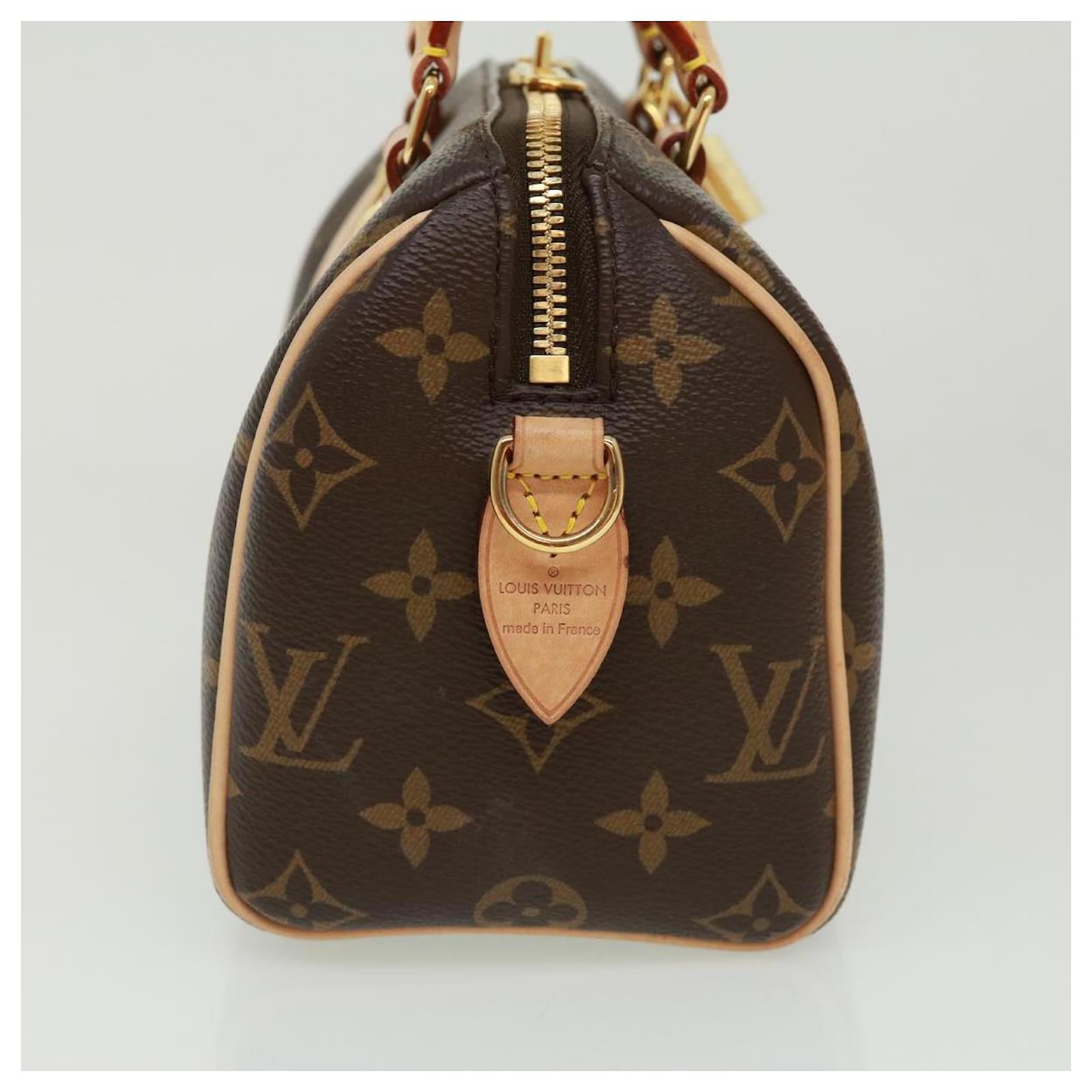 Louis Vuitton SPEEDY Monogram Casual Style Canvas Street Style 3WAY Leather  (M46234)