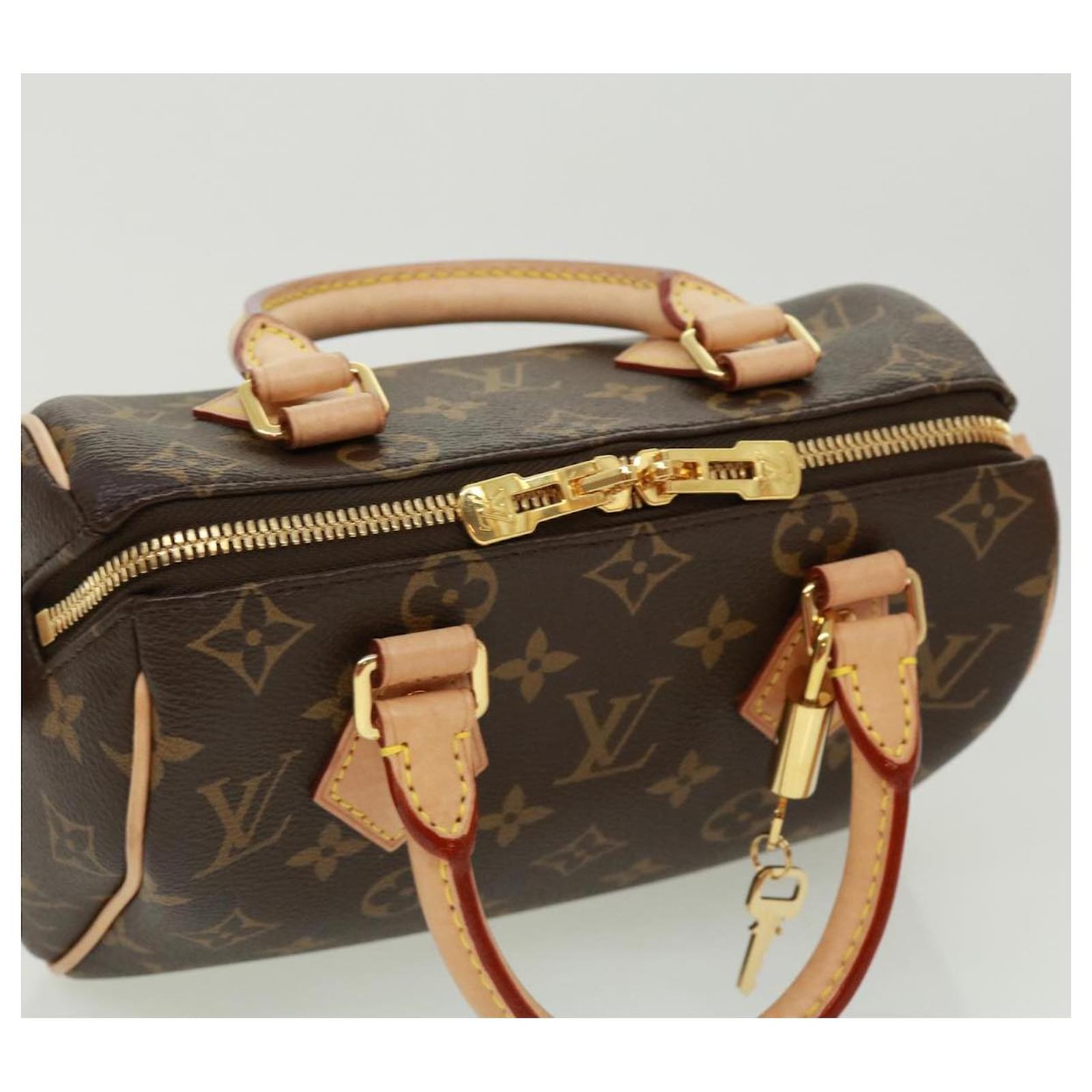 Louis Vuitton Monogram Casual Style 2WAY Leather Party Style Office Style  (M46234)
