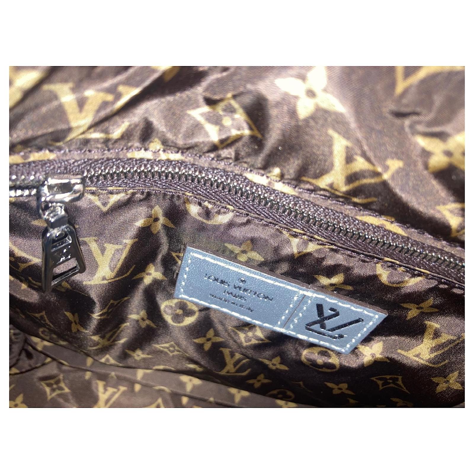 Louis Vuitton Speedy Bandoulière Pillow Silver hardware Polyester  ref.727785 - Joli Closet