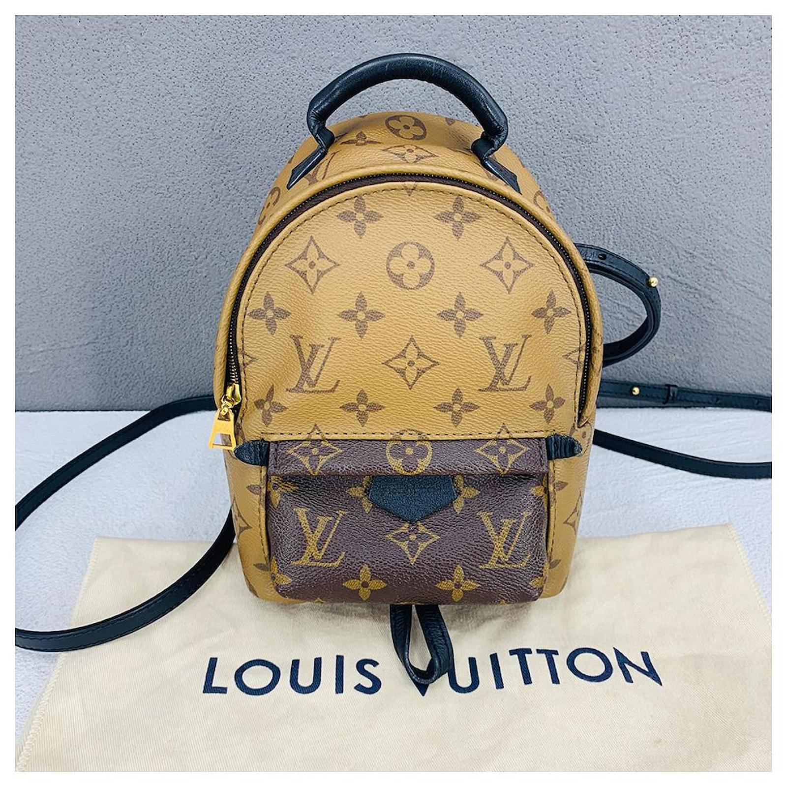 Louis Vuitton Reverse Monogram Mini Palm Springs Brown ref.733555