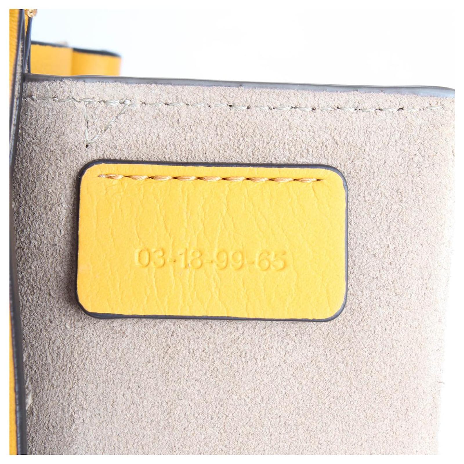 Chloé Faye Bracelet Crossbody Bag Yellow Leather Pony-style calfskin  ref.733899 - Joli Closet