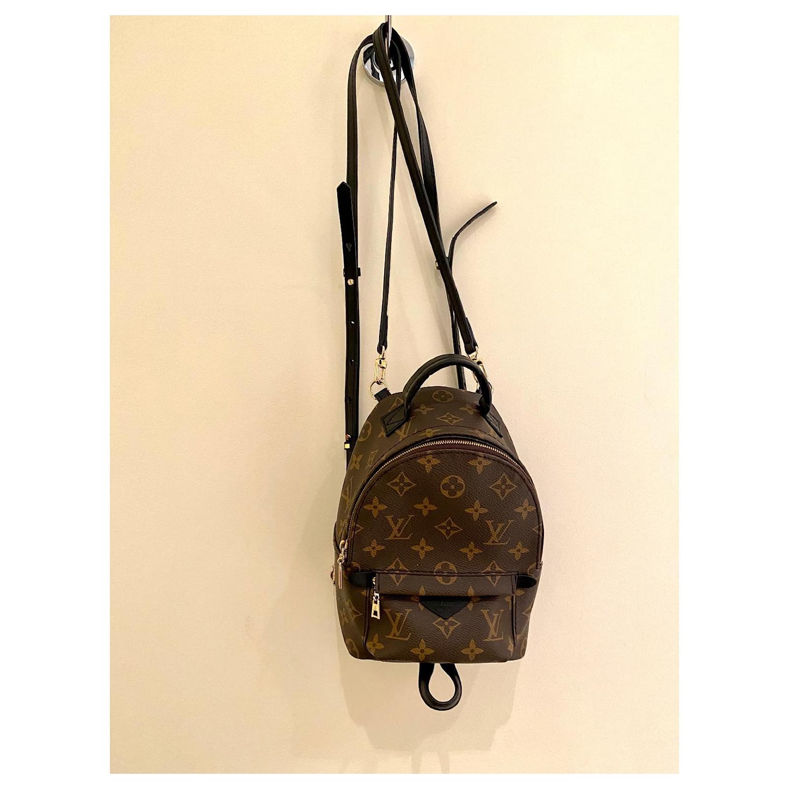 Louis Vuitton Palm springs backpack Brown ref.55828 - Joli Closet