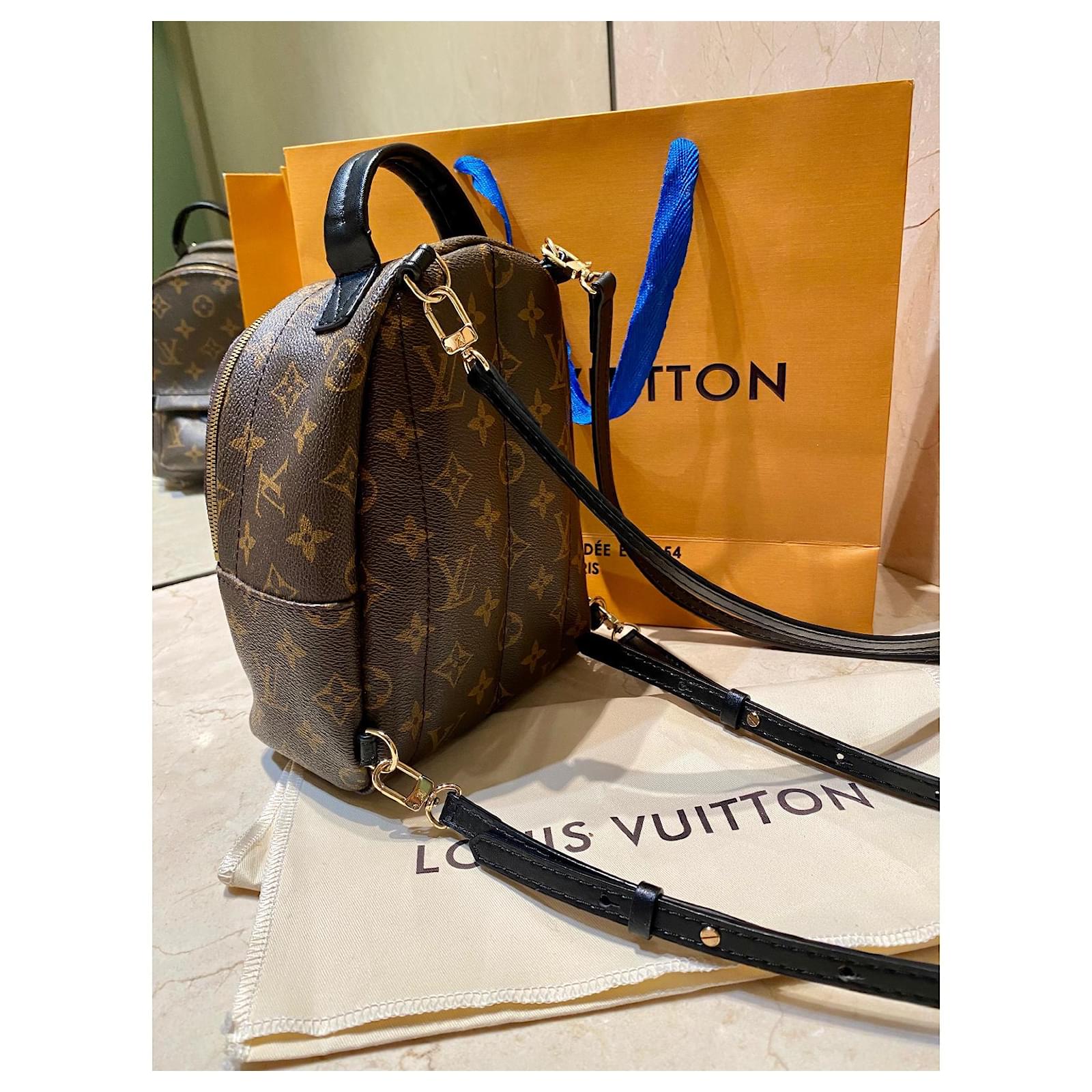 Palm springs leather backpack Louis Vuitton Brown in Leather - 34275449