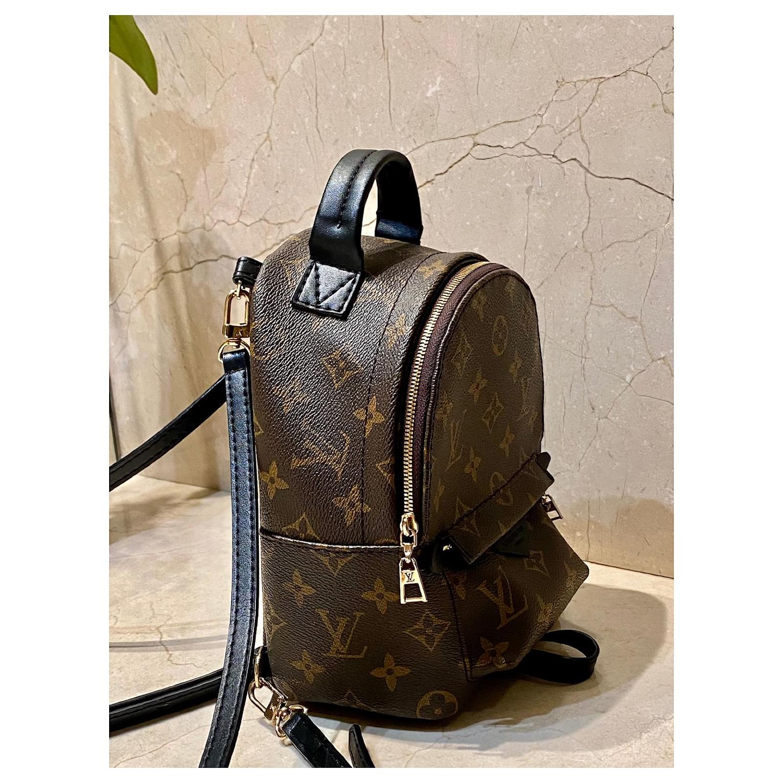 Palm springs leather backpack Louis Vuitton Brown in Leather - 31450925