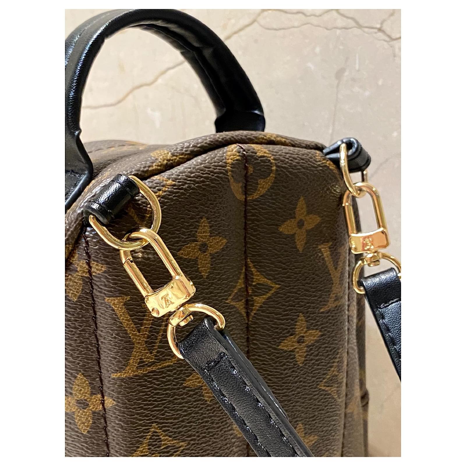 Palm springs backpack Louis Vuitton Brown in Plastic - 36141407