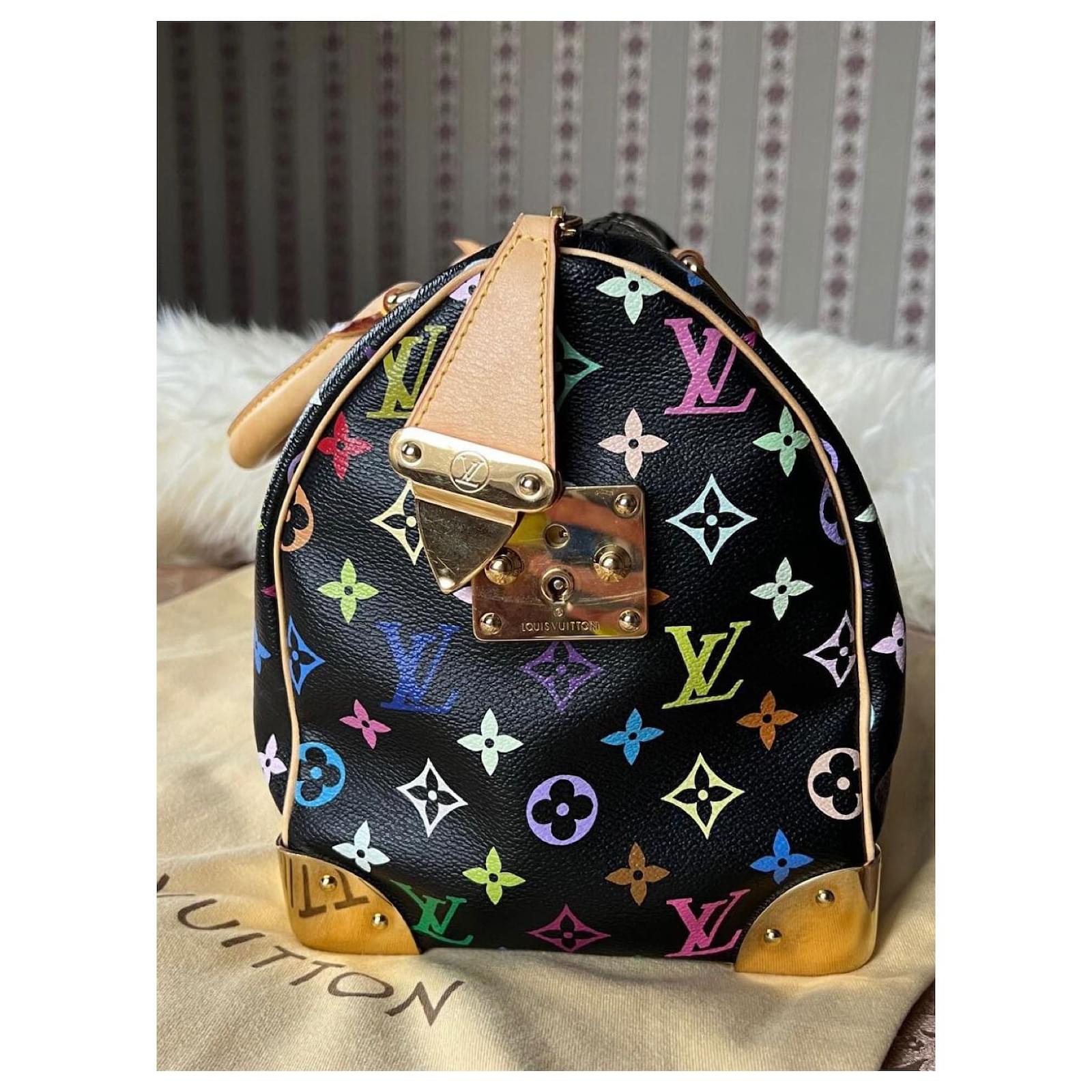 Louis Vuitton Rare Takashi Murakami Speedy Handbag