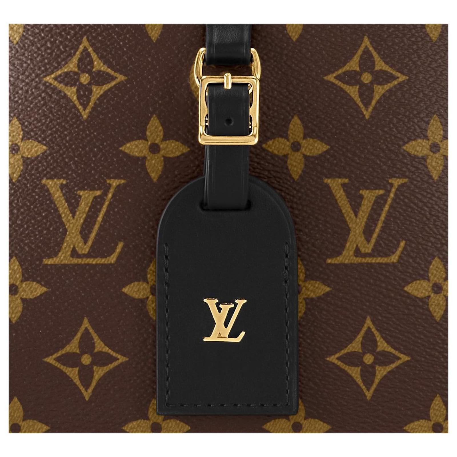 Louis Vuitton LV Odeon PM damier Brown ref.768231 - Joli Closet
