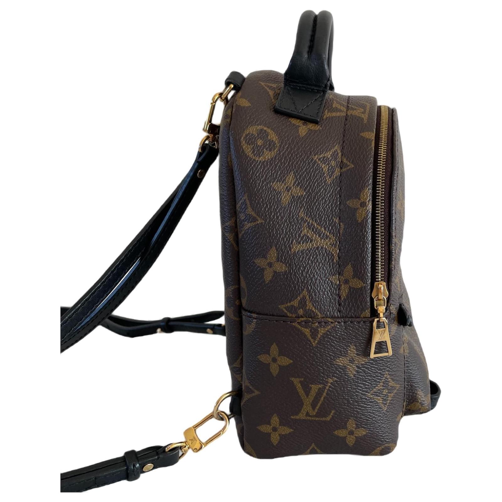Louis Vuitton Palm springs mini backpack rug sack monogram Brown Black Dark  brown Leather Cloth ref.787584 - Joli Closet