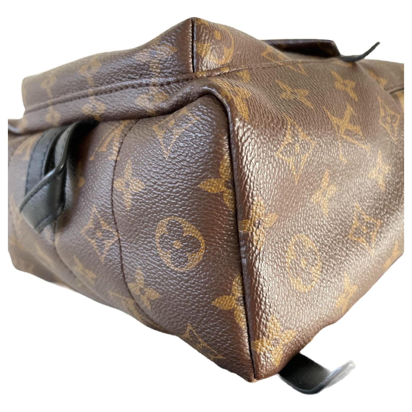 Louis Vuitton Palm springs PM backpack rug sack monogram Brown Black Dark  brown Leather Cloth ref.787602 - Joli Closet