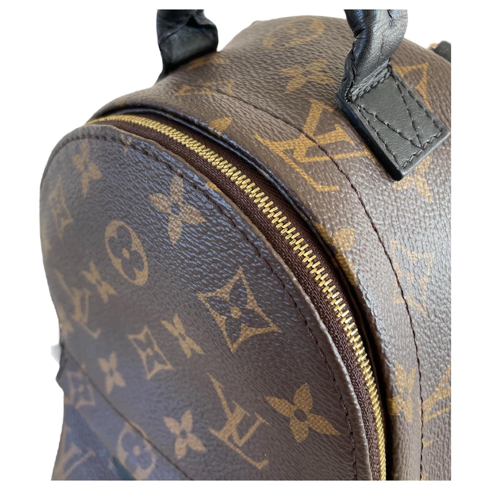 Louis Vuitton Palm springs mini backpack rug sack monogram Brown Black Dark  brown Leather Cloth ref.787665 - Joli Closet