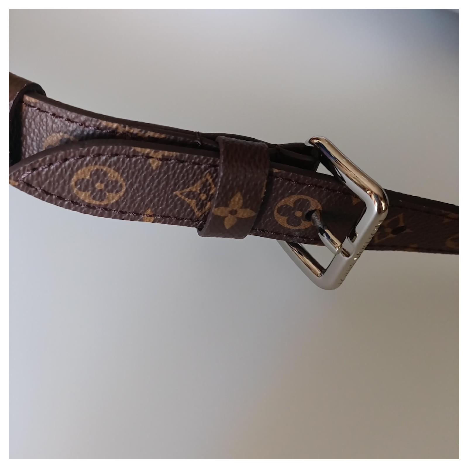 Louis Vuitton LV belt bag in new silver nylon Silvery ref.807972 - Joli  Closet