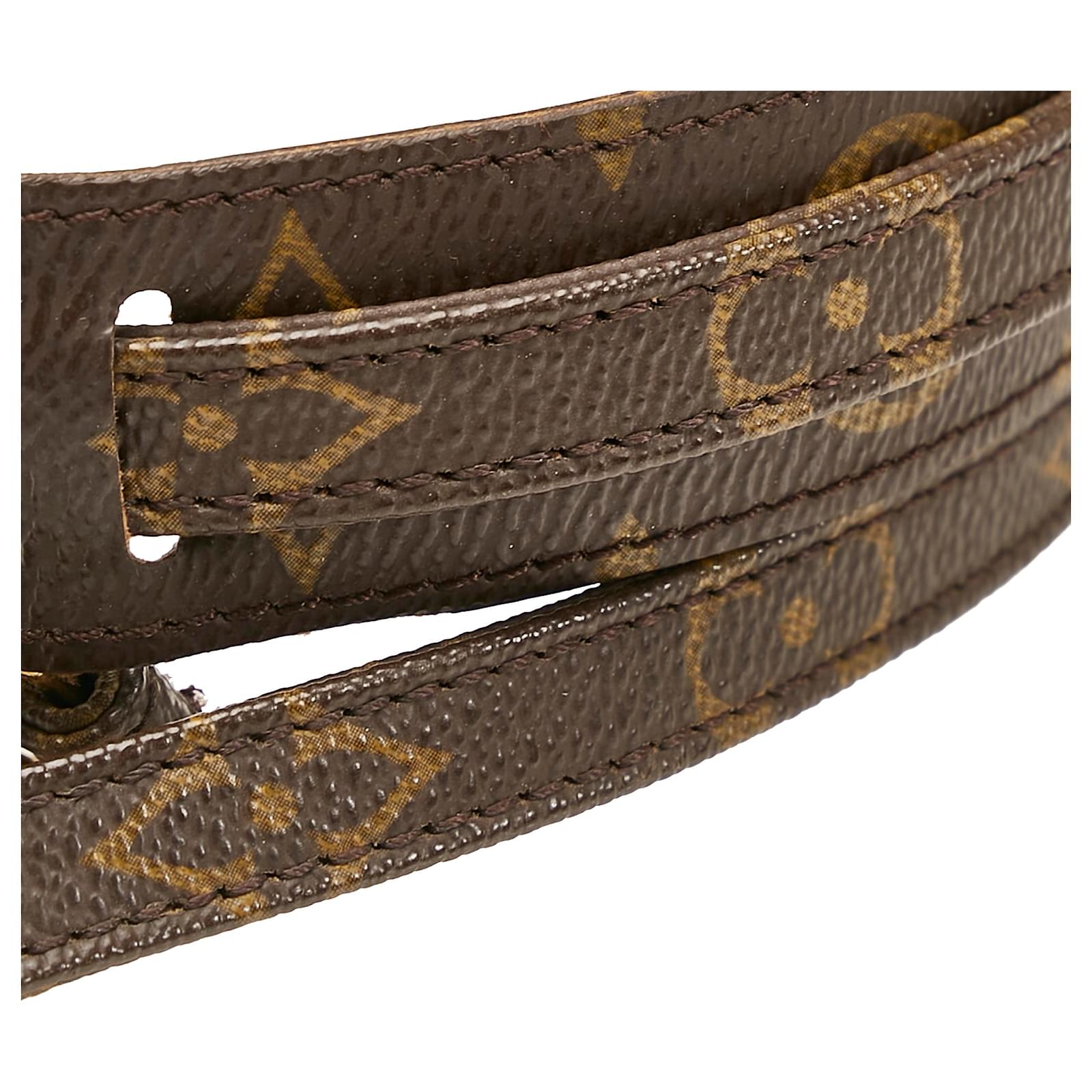 Louis Vuitton LV Strap monogram Brown Cloth ref.783598 - Joli Closet