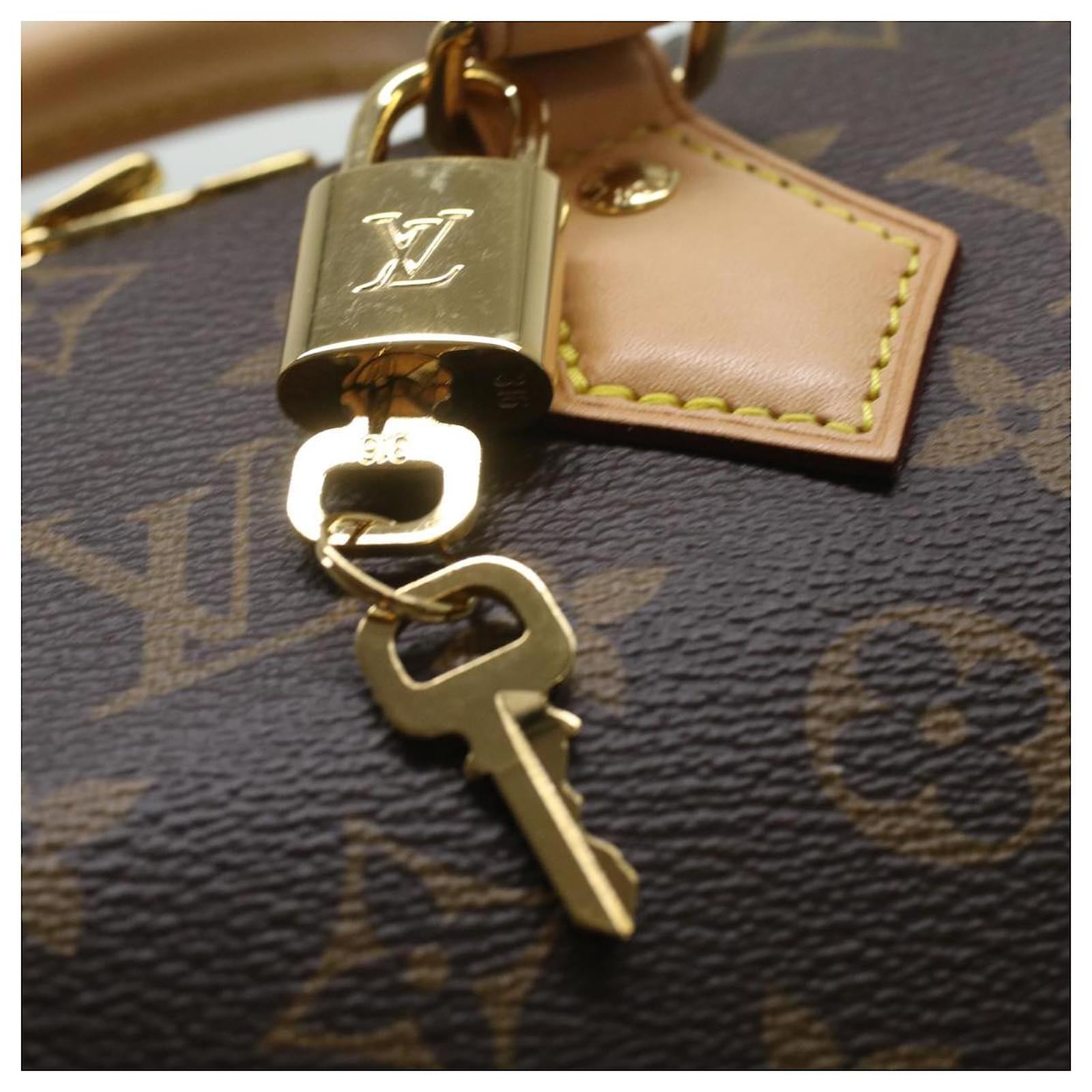Bolso de mano Louis Vuitton Speedy 384594