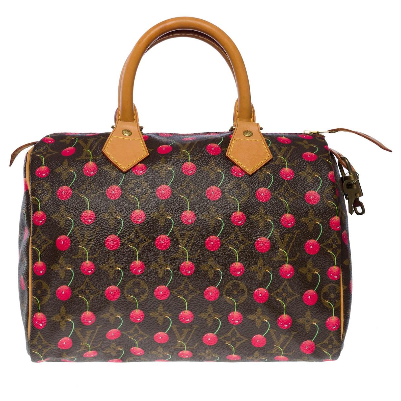 Louis Vuitton Speedy handbag 25 