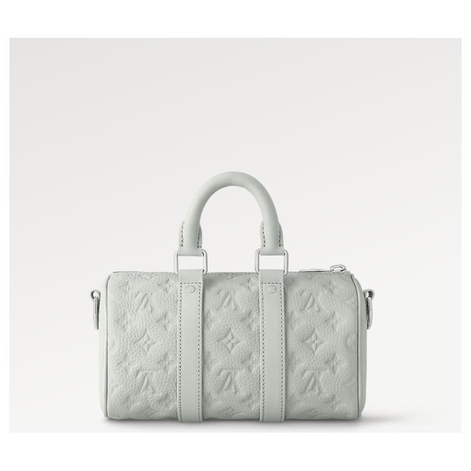 Keepall leather travel bag Louis Vuitton Silver in Leather - 35796979