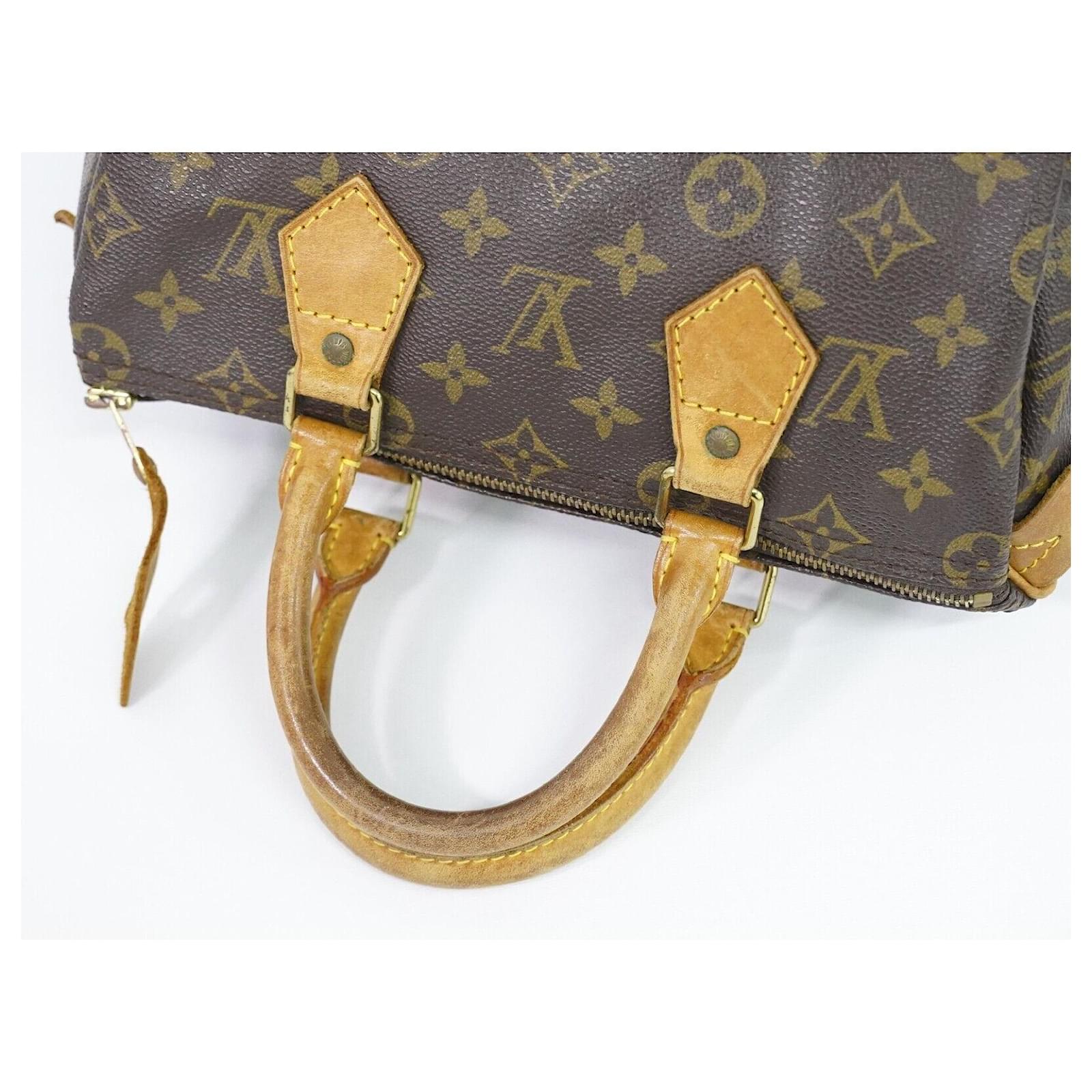 Louis Vuitton Brown Monogram Speedy 25 Cloth ref.923197 - Joli Closet