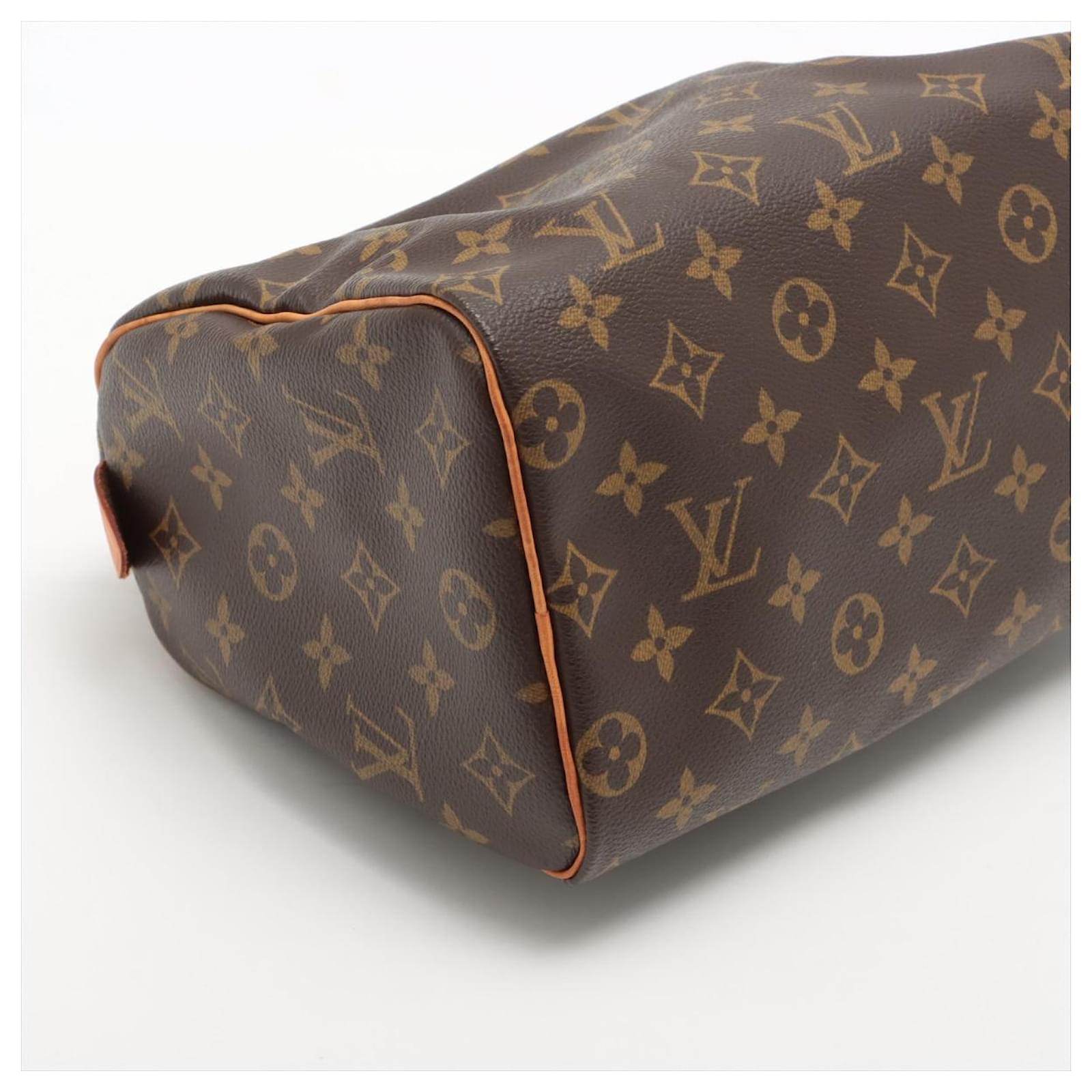 Louis Vuitton Speedy 25 Brown Cloth ref.923930 - Joli Closet