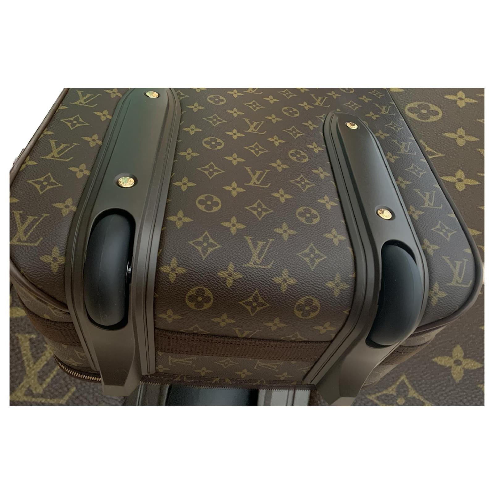 Pegase Louis Vuitton Travel bag Brown Leather ref.931611 - Joli Closet