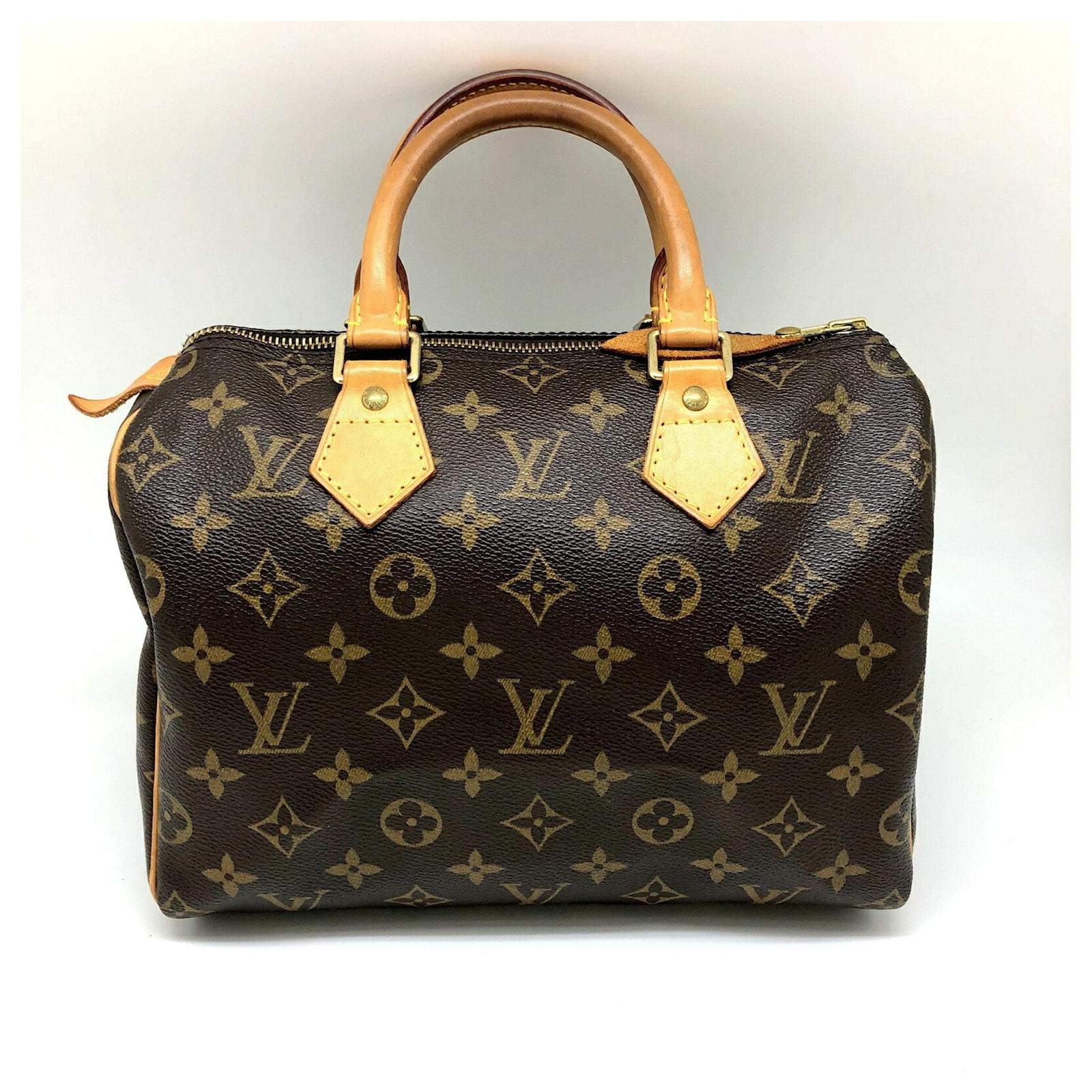 LOUIS VUITTON Coated Canvas Brown Speedy Monogram Vachetta Leather