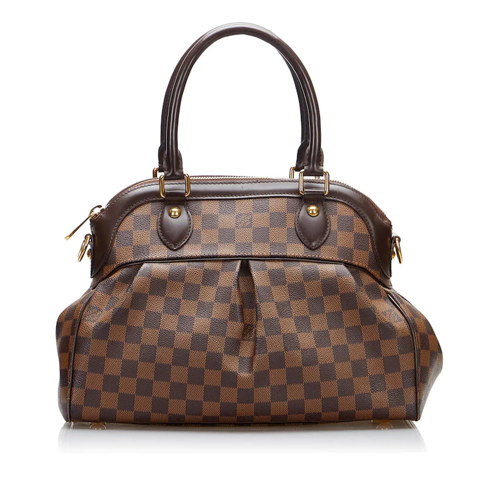 Louis Vuitton Damier Ebene Trevi PM N51997 Brown Cloth ref.936068 - Joli  Closet