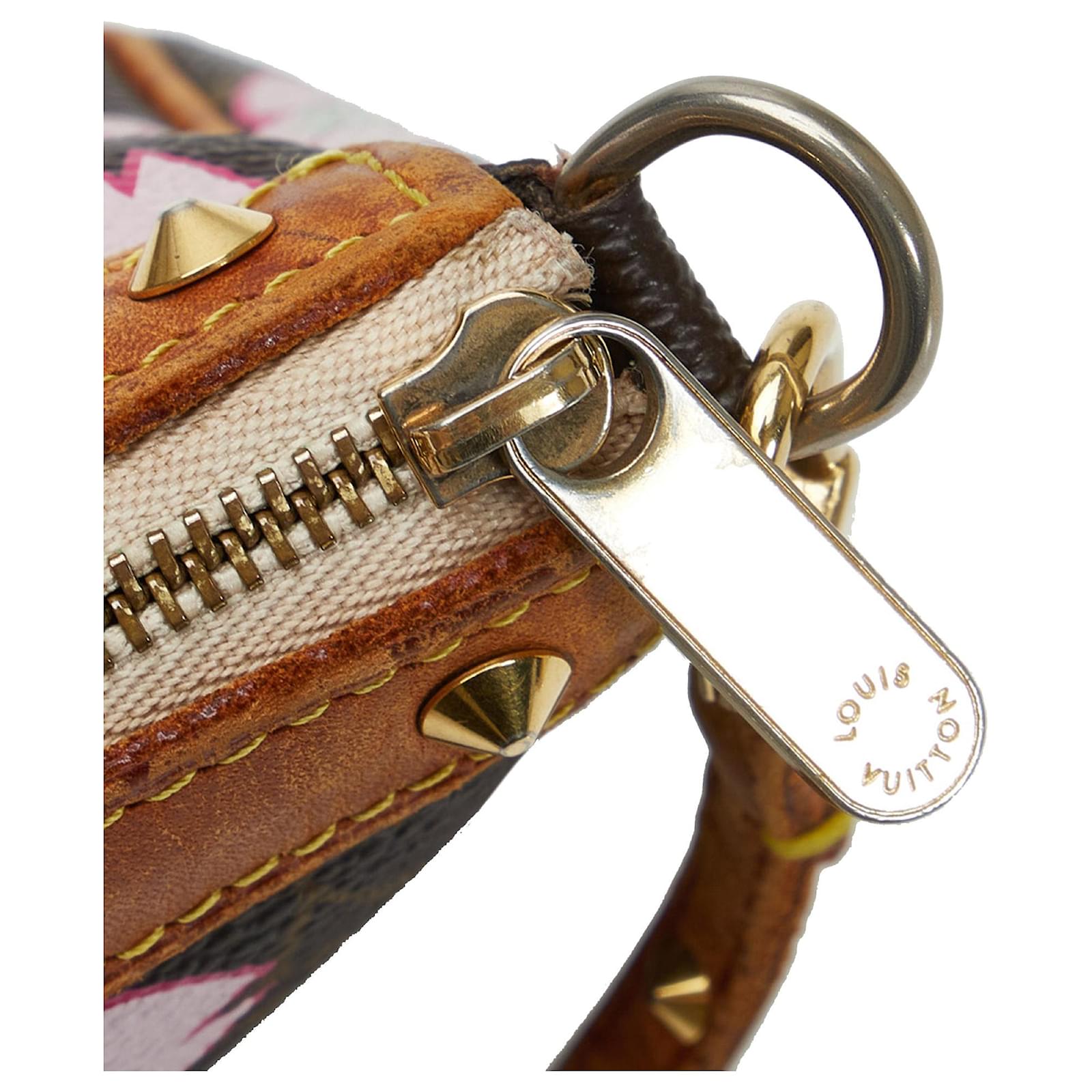 Louis Vuitton Limited Edition Takashi Murakami Blossom Monogram Canvas  Pochette Accessoires in Brown