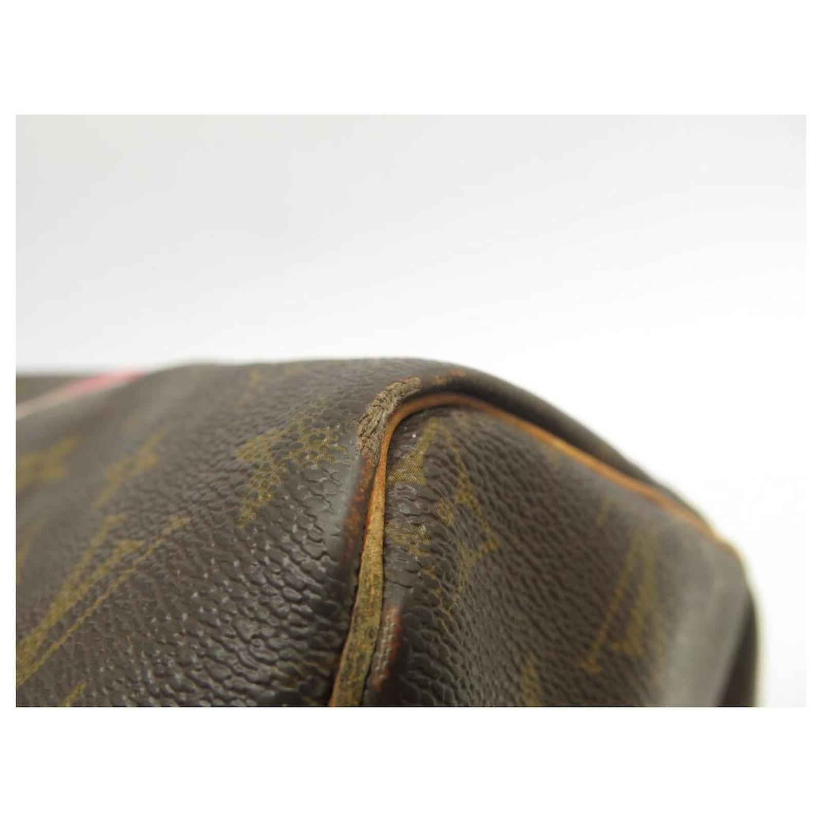 Louis Vuitton Speedy Handbag 30 M41108 IN CANVAS MONOGRAM HAND BAG PURSE  Brown Cloth ref.949309 - Joli Closet