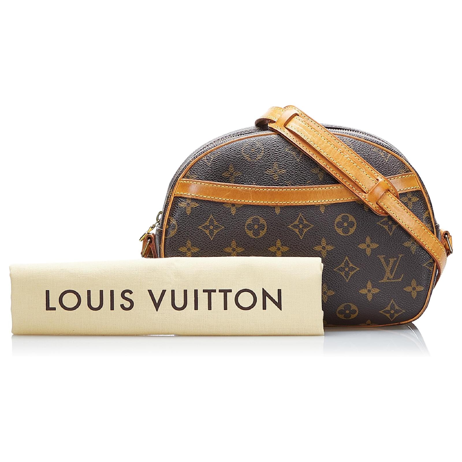 Louis Vuitton Brown Monogram Blois Cloth ref.878281 - Joli Closet
