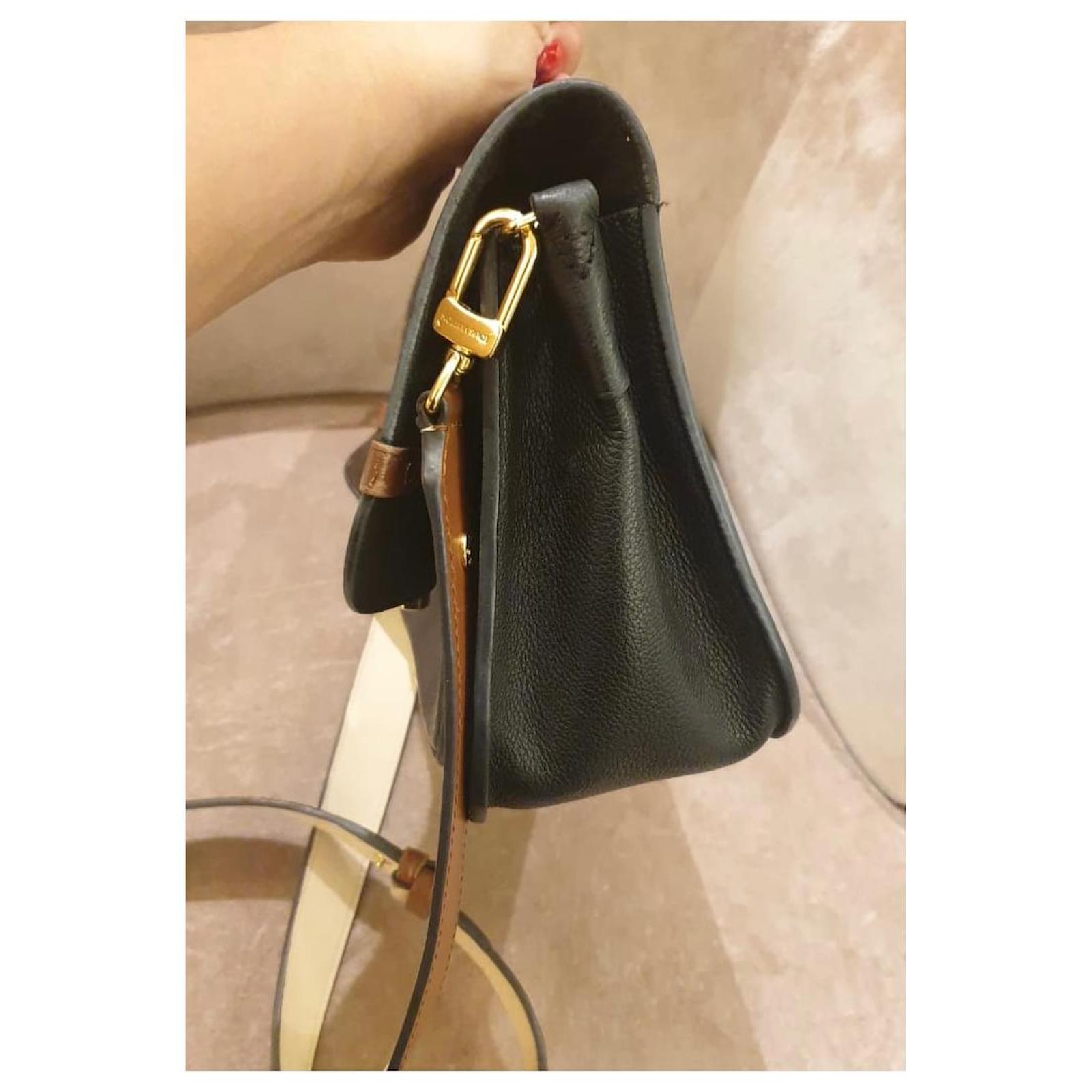 Louis Vuitton Handbags Brown Leather ref.962448 - Joli Closet