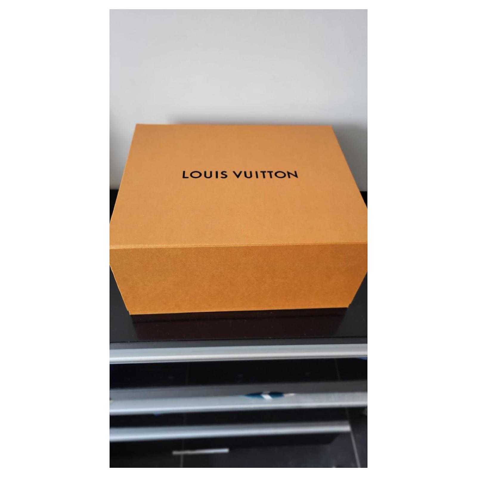 Louis Vuitton Treasure Box 24 Brown Leather  ref.967431