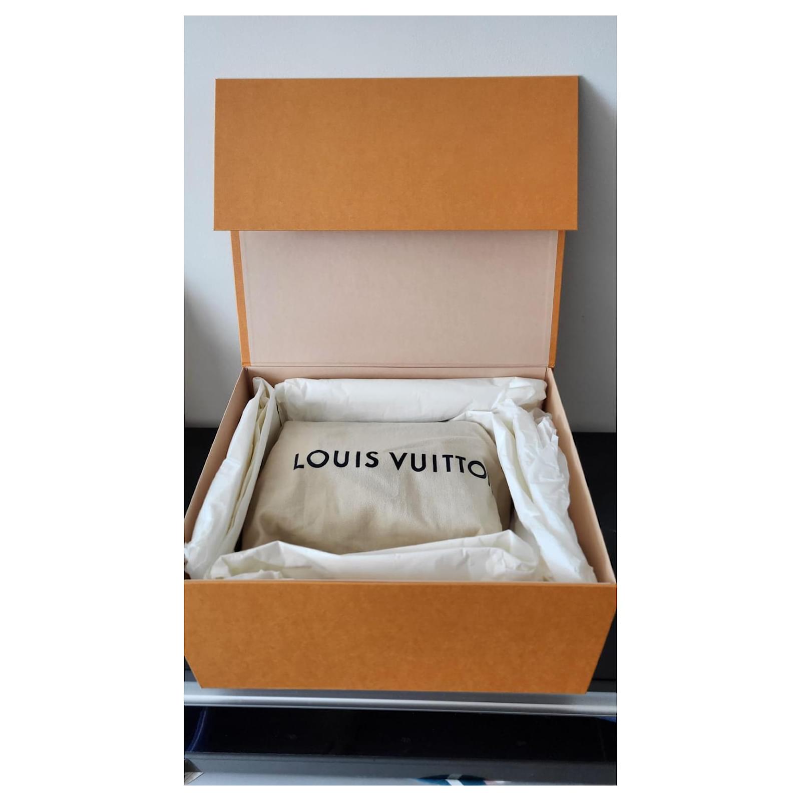 Louis Vuitton Treasure Box 24 Brown Leather  ref.967431