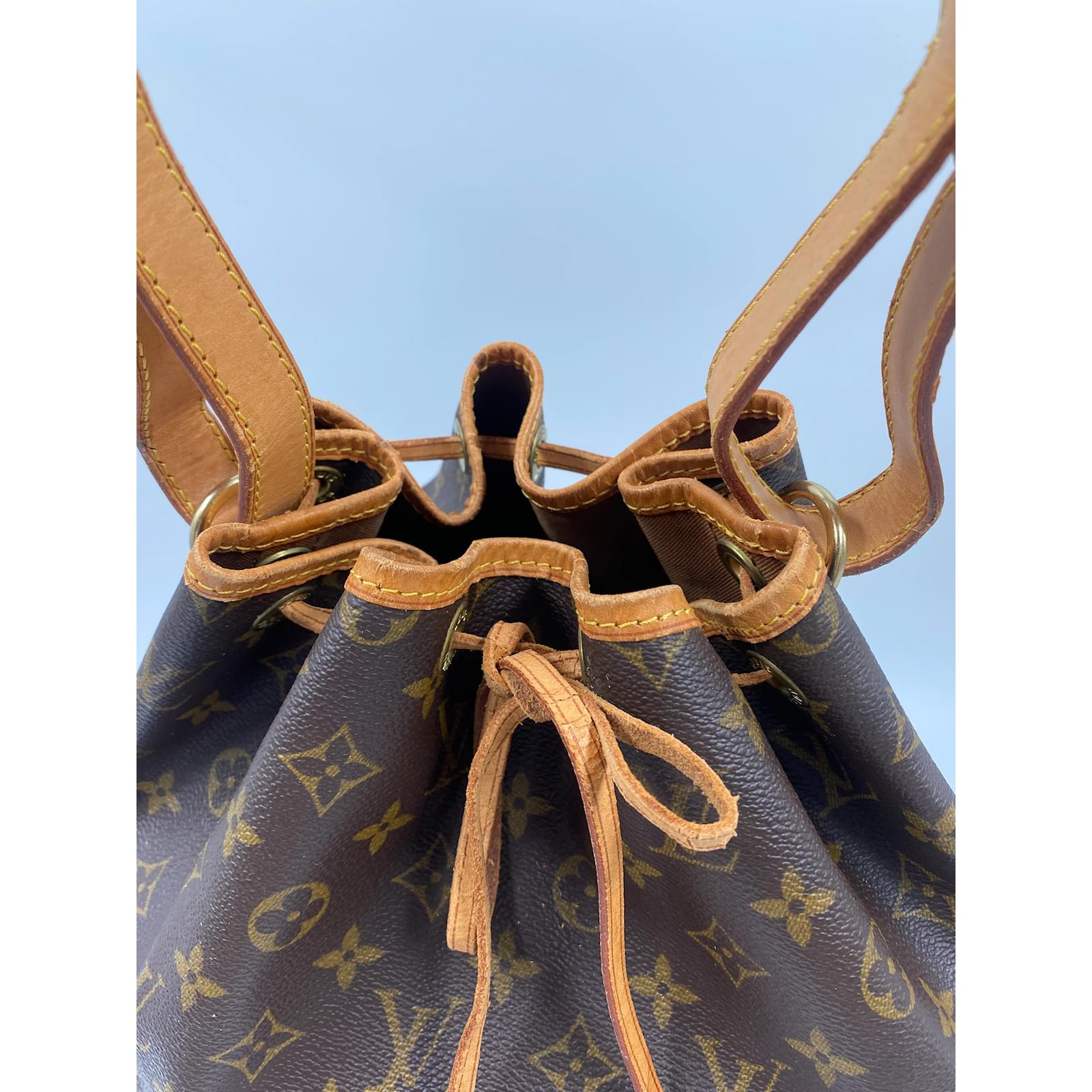 Brown Coated Canvas Louis Vuitton Noe Cloth ref.969630 - Joli Closet
