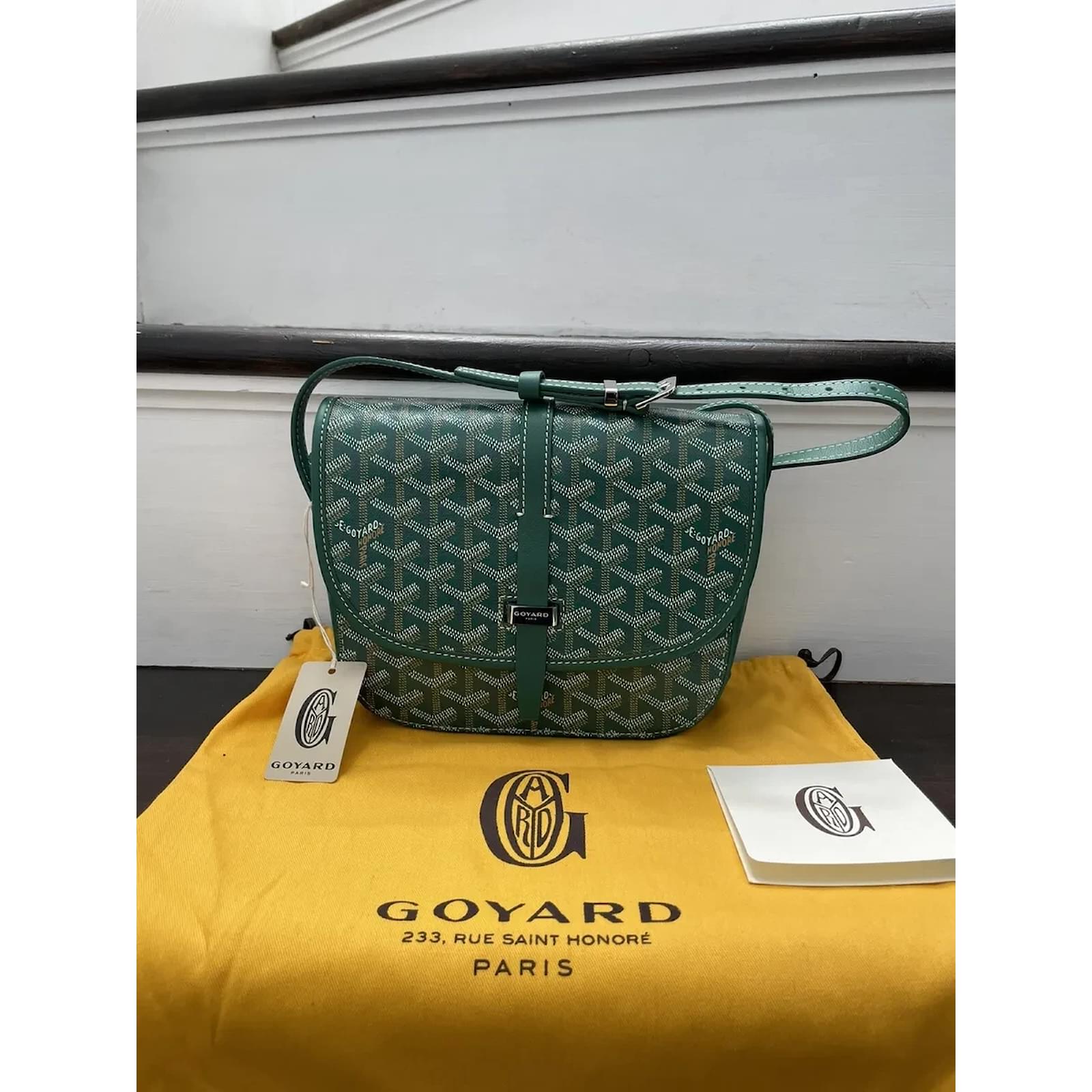 GOYARDINE BELVEDERE II PM MESSENGER BAG Green Leather ref.969602 - Joli  Closet