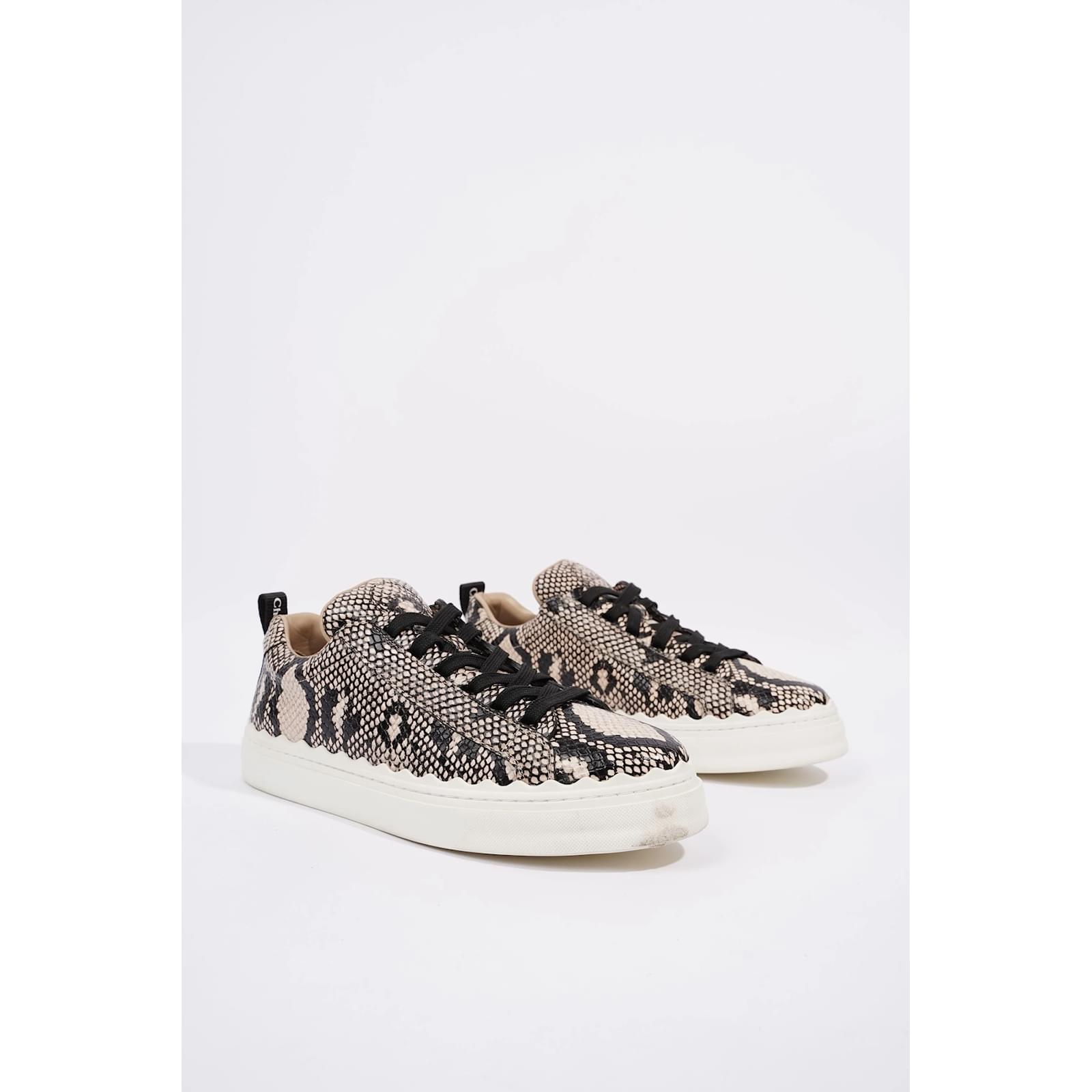 Chloe best sale python sneakers