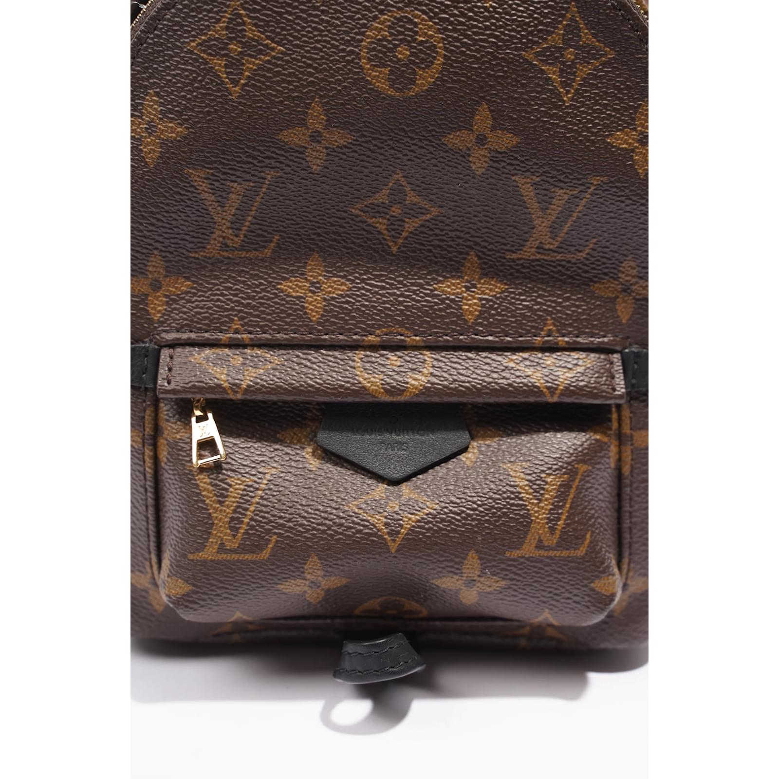 Louis Vuitton Palm Springs Mini Backpack Monogram Canvas Cloth ref.1006161  - Joli Closet