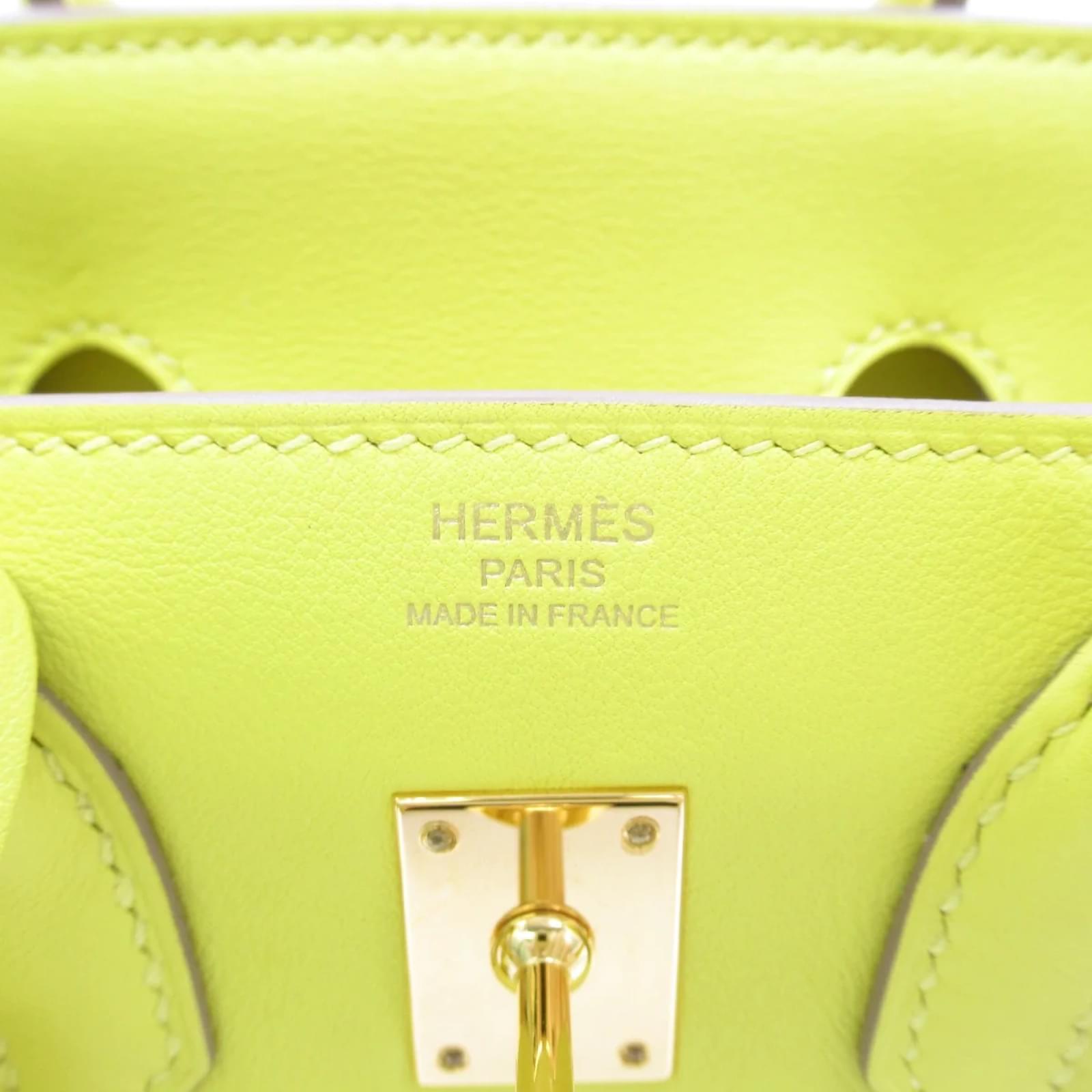 Hermes Birkin in Kiwi Green  Borsa neon, Borse hermes, Borse
