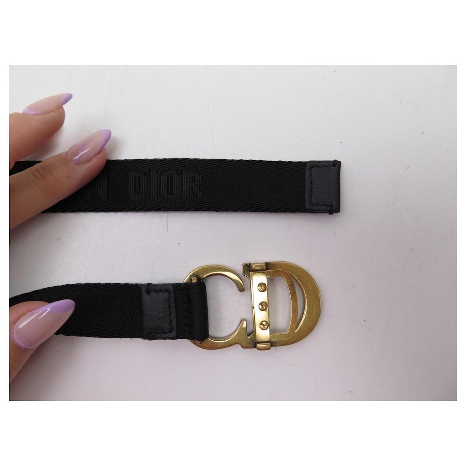 Dior saddle shop nylon belt