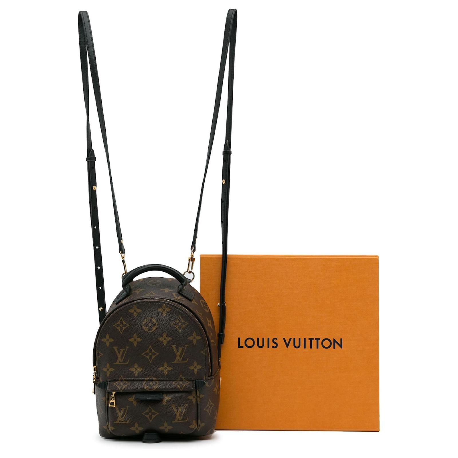 Louis Vuitton Brown Monogram Palm Springs Mini Cloth ref.1010423 - Joli  Closet