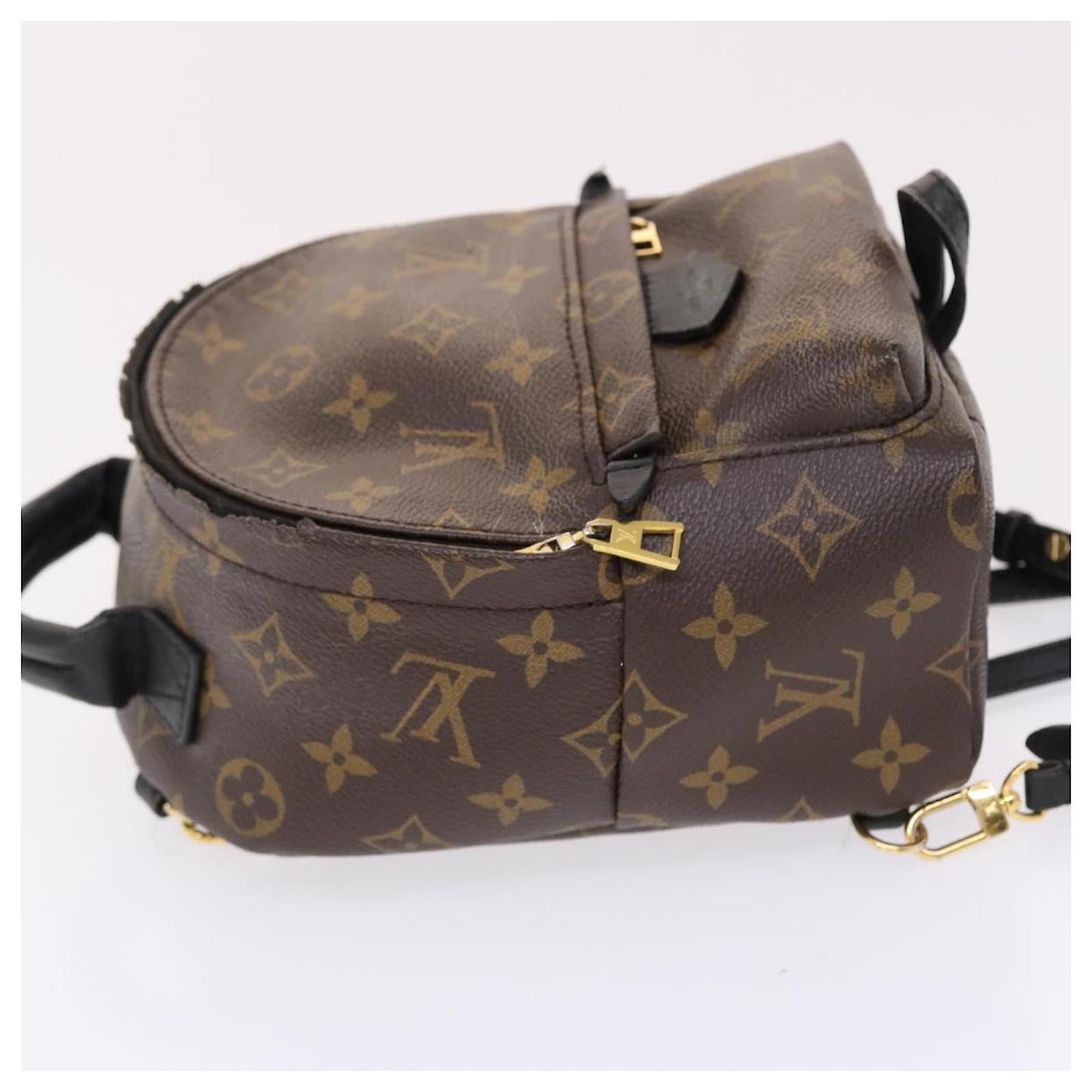 Backpack Organizer For Louis Vuitton Palm Springs Mini Backpack