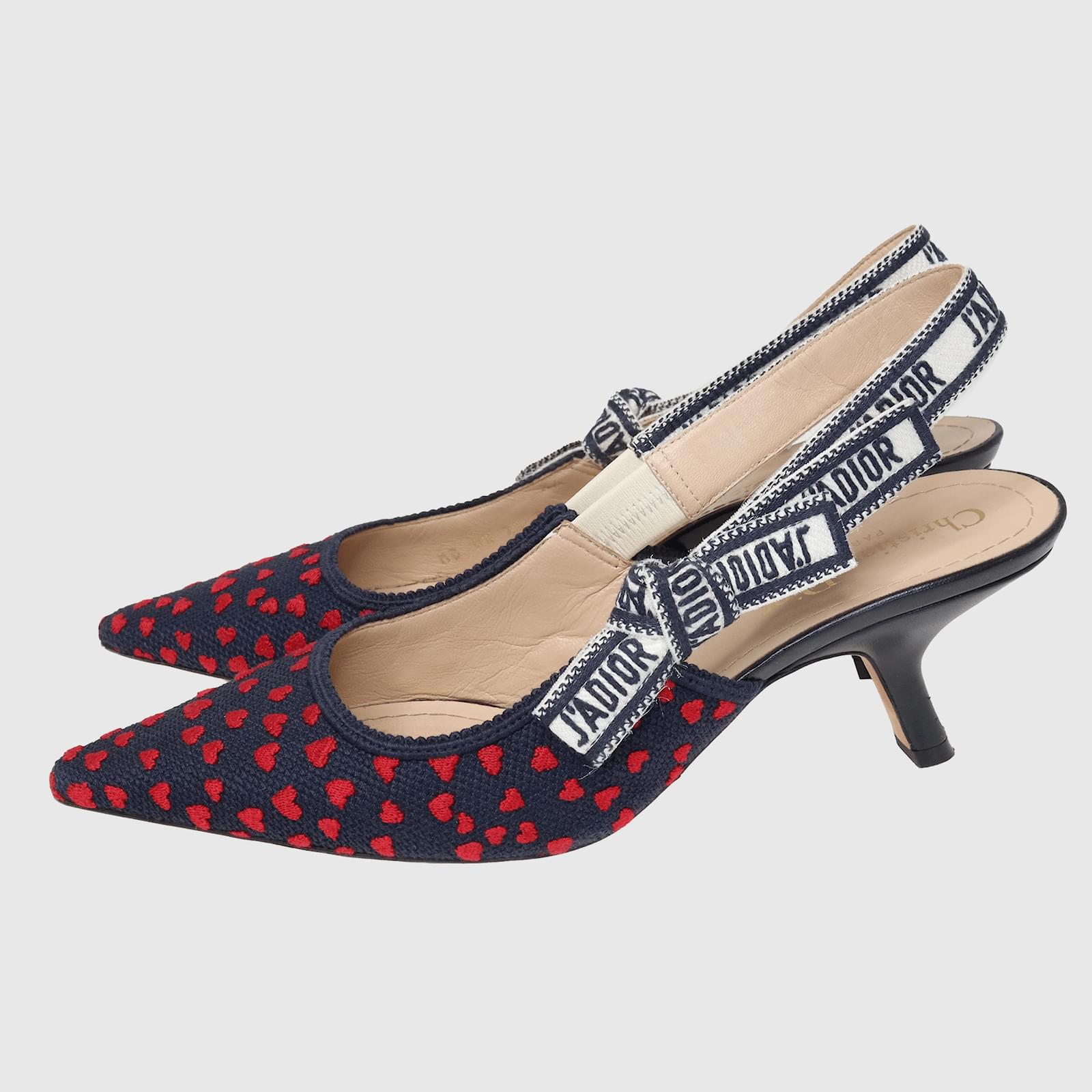 Dior Multicolor Floral Embroidered J'ADIOR Slingback Pumps