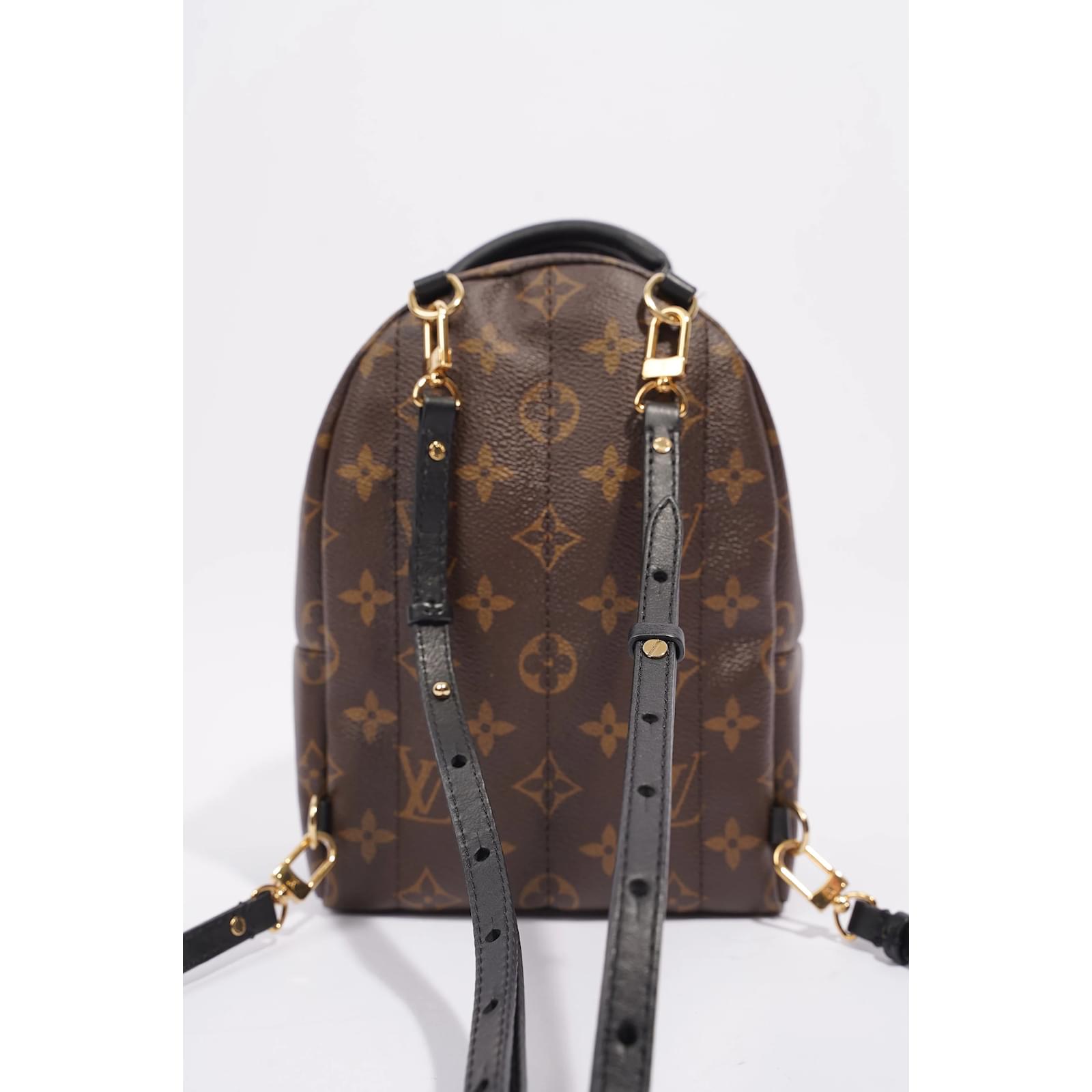 Louis Vuitton Womens Palm Spring Mini Backpack Monogram Brown Cloth  ref.1060335 - Joli Closet