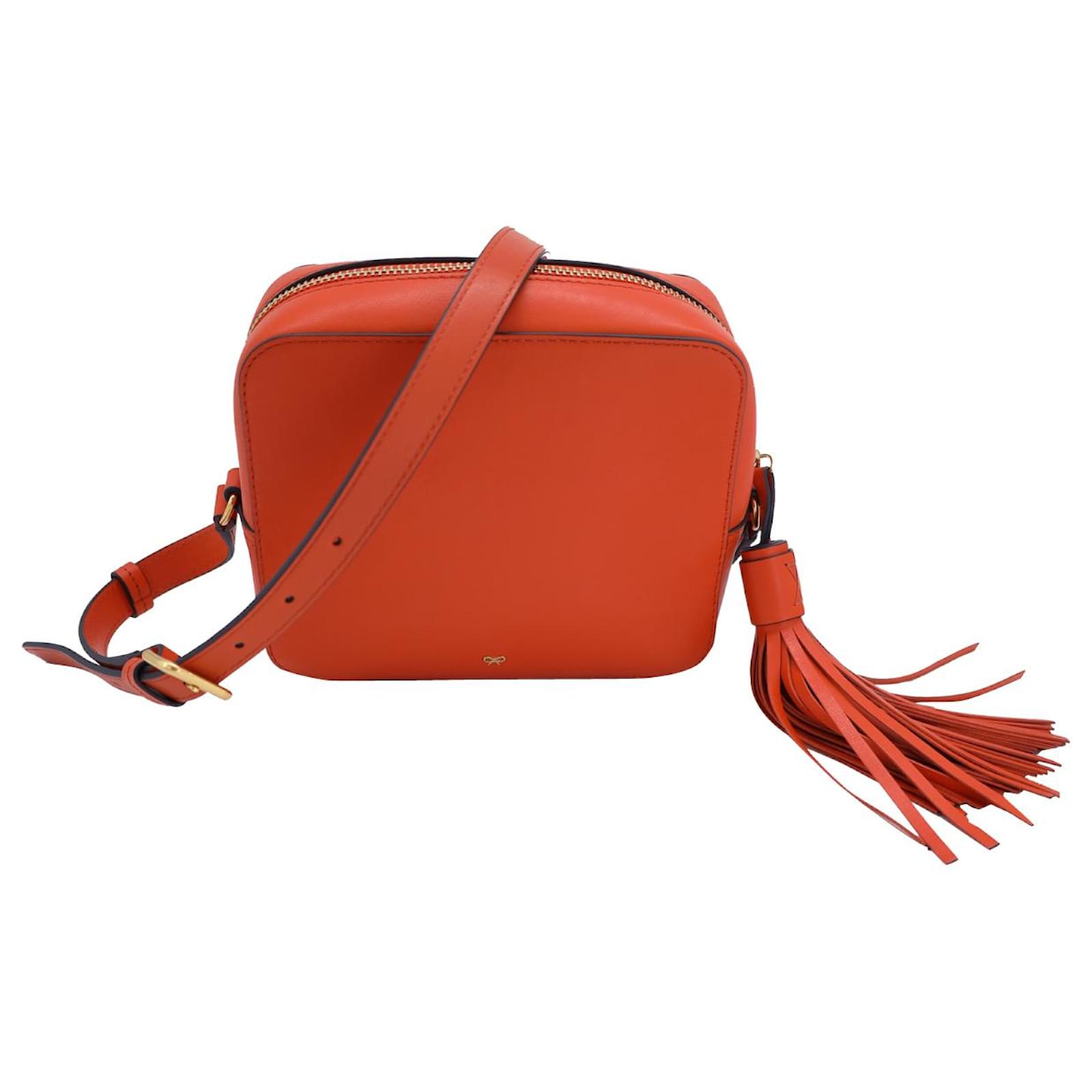Anya Hindmarch Wink Crossbody Bag in Orange Calfskin Leather Pony 
