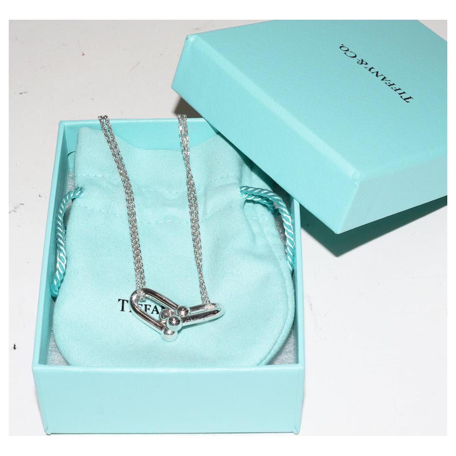 Tiffany & Co. SV (Silver 925) Hardware Large Double Link Pendant